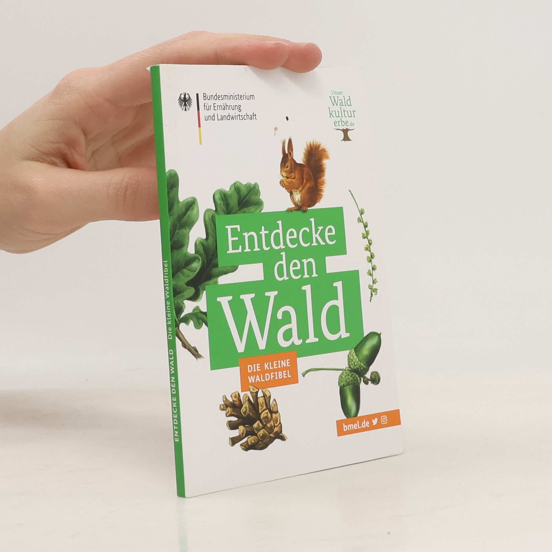 Kolektiv autorů Entdecke den Wald. Die kleine Waldfibel