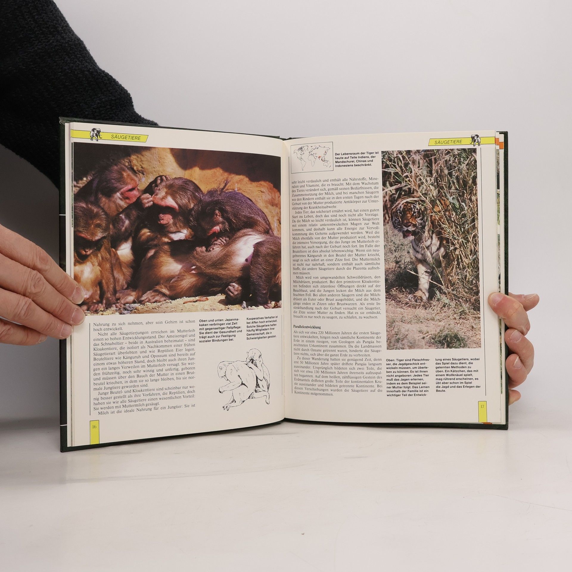 Autorenkollektiv Lebendiges Tierreich Die neue Enzyklopädie in Farbe Ein Agostini Sammelwerk Band 1