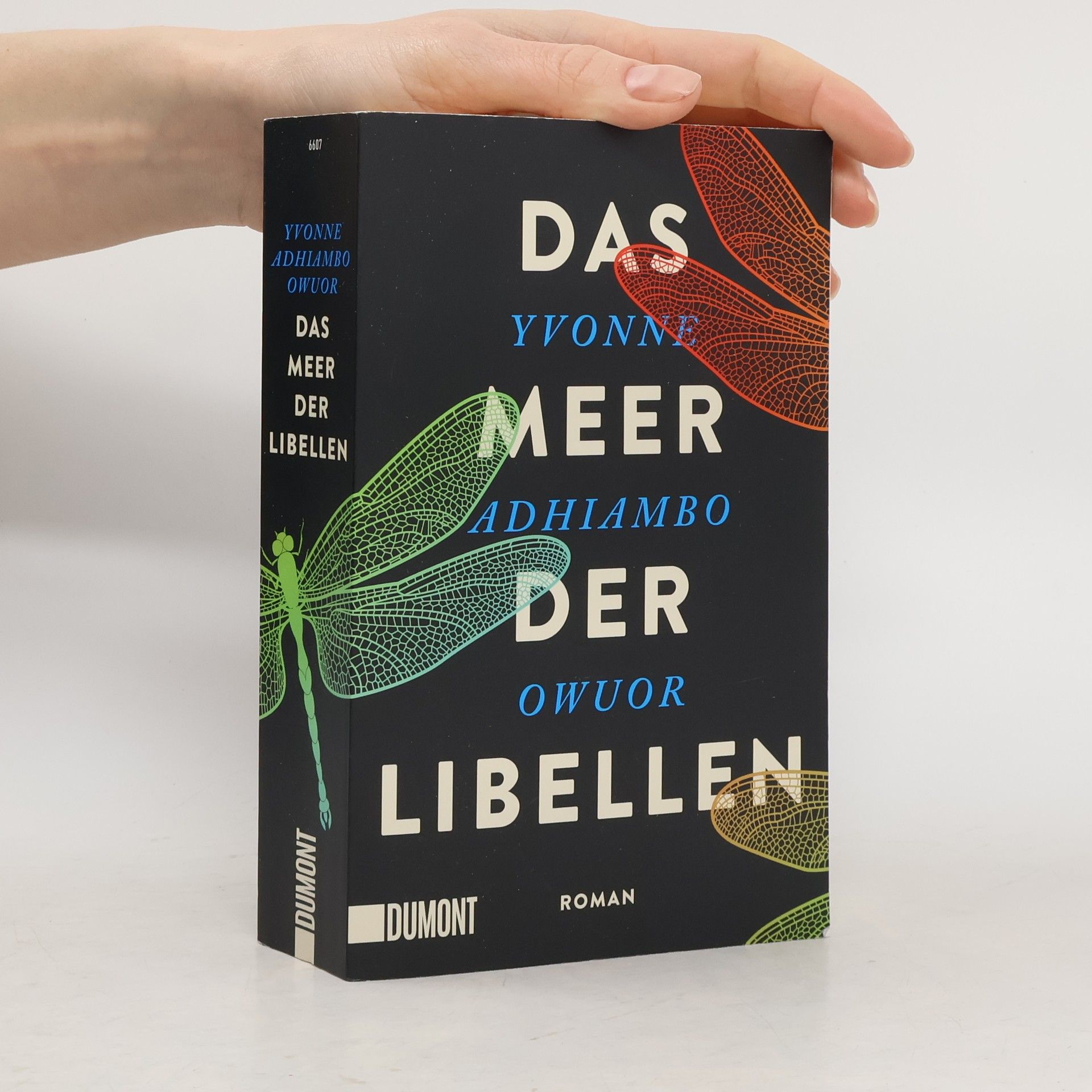 Yvonne Adhiambo Owuor Das Meer der Libellen