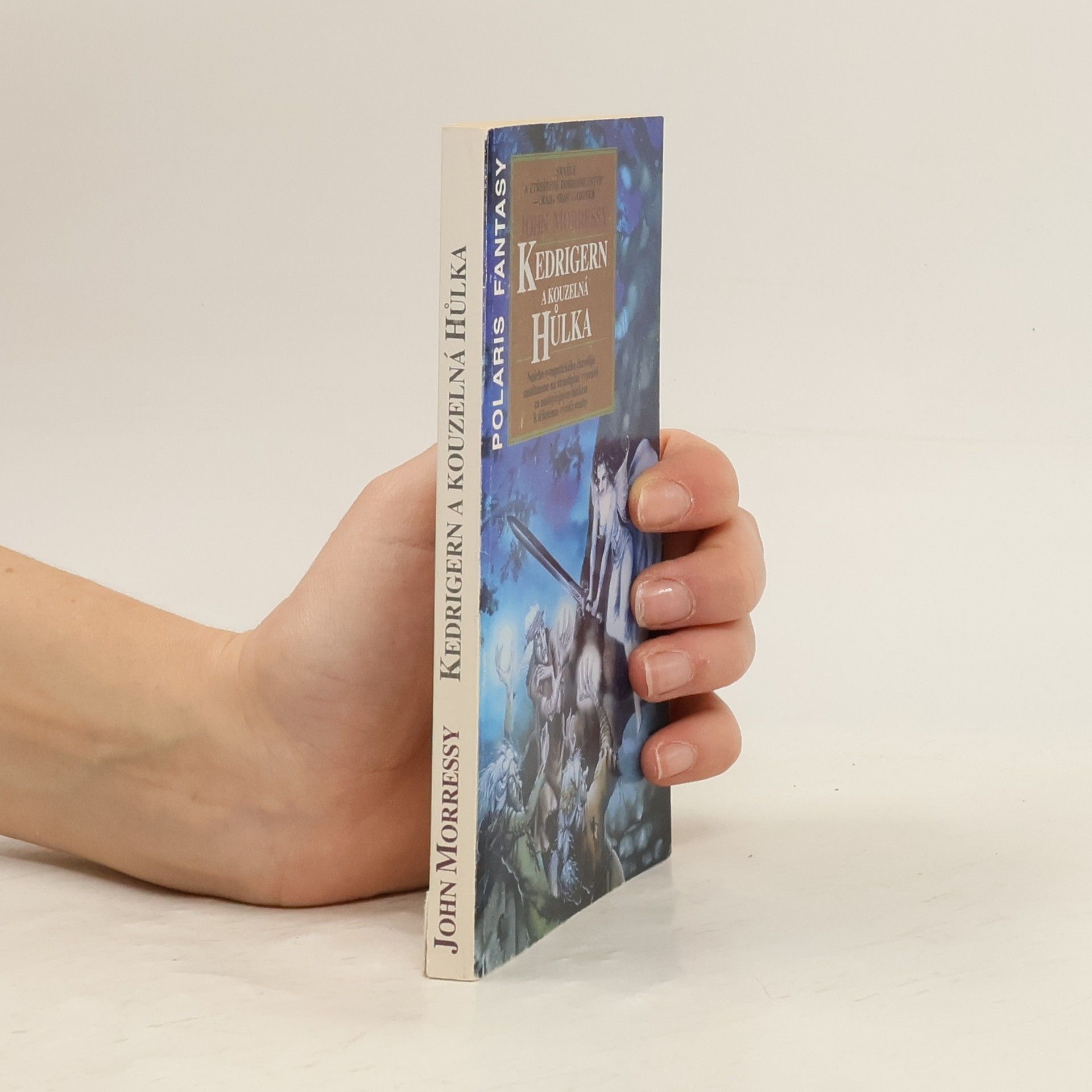 Petr Caha Kedrigern a kouzelná hůlka