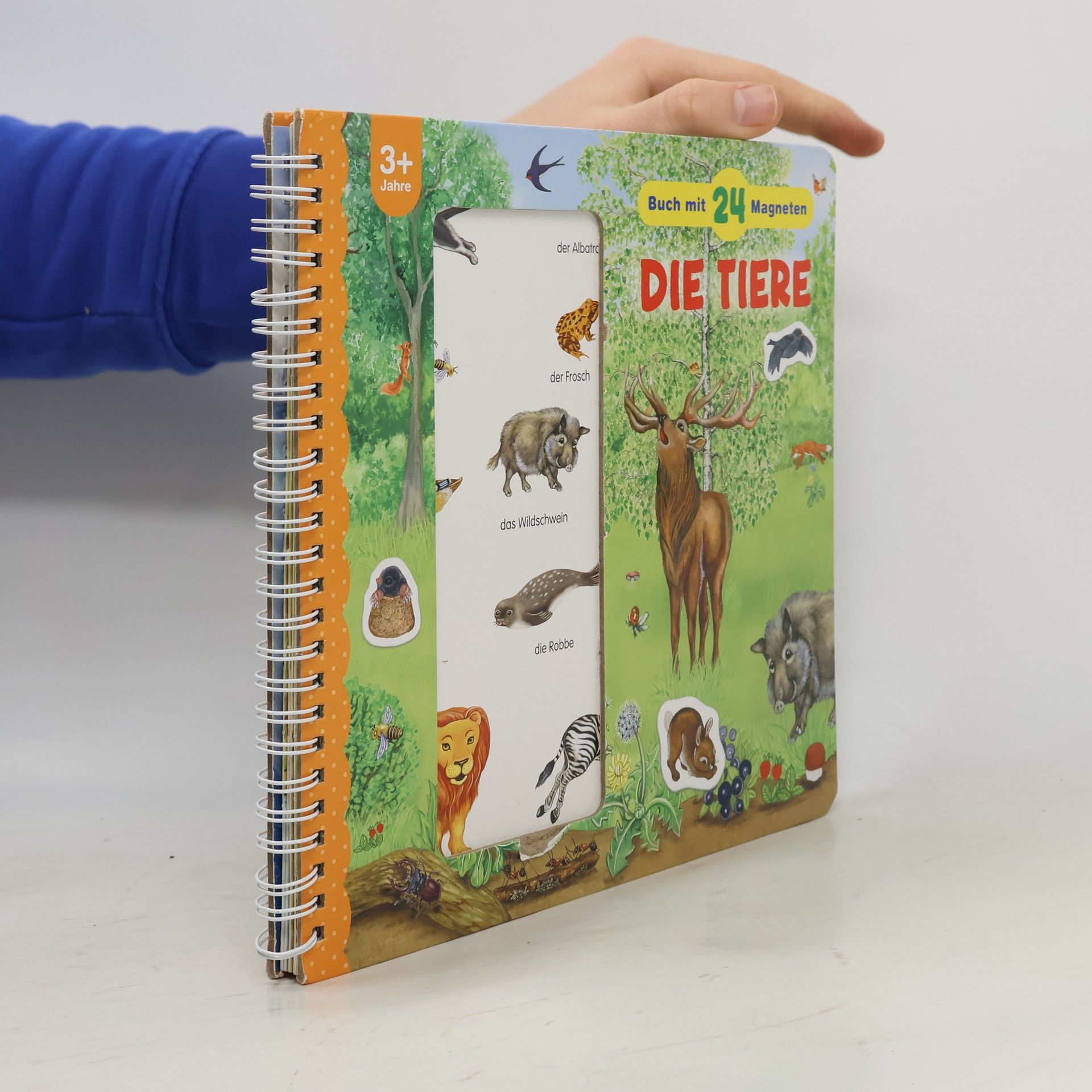 Autorenkollektiv Buch mit 24 Magneten. Die Tiere