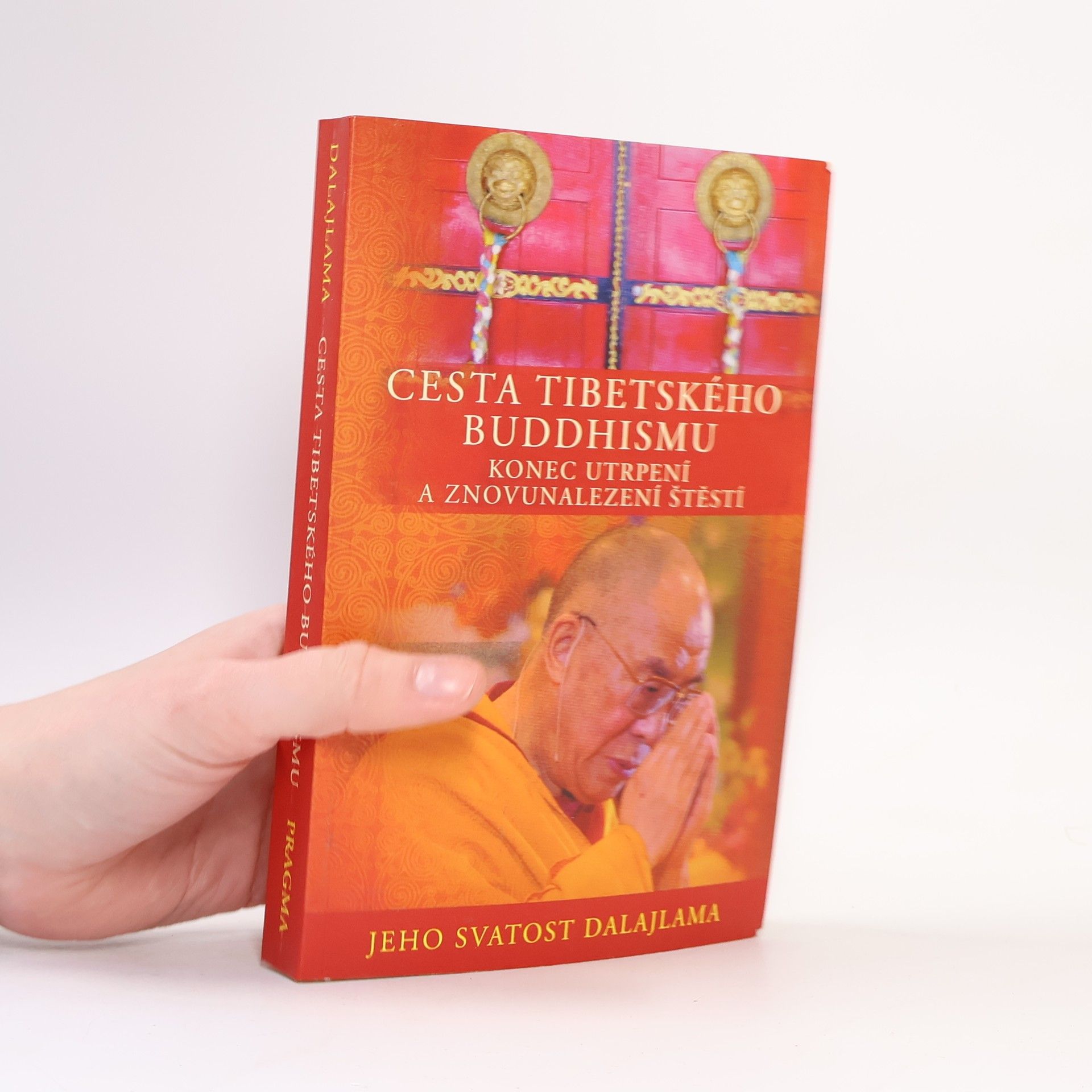 Dalajlama Cesta tibetského buddhismu: Konec utrpení a znovunalezení štěstí