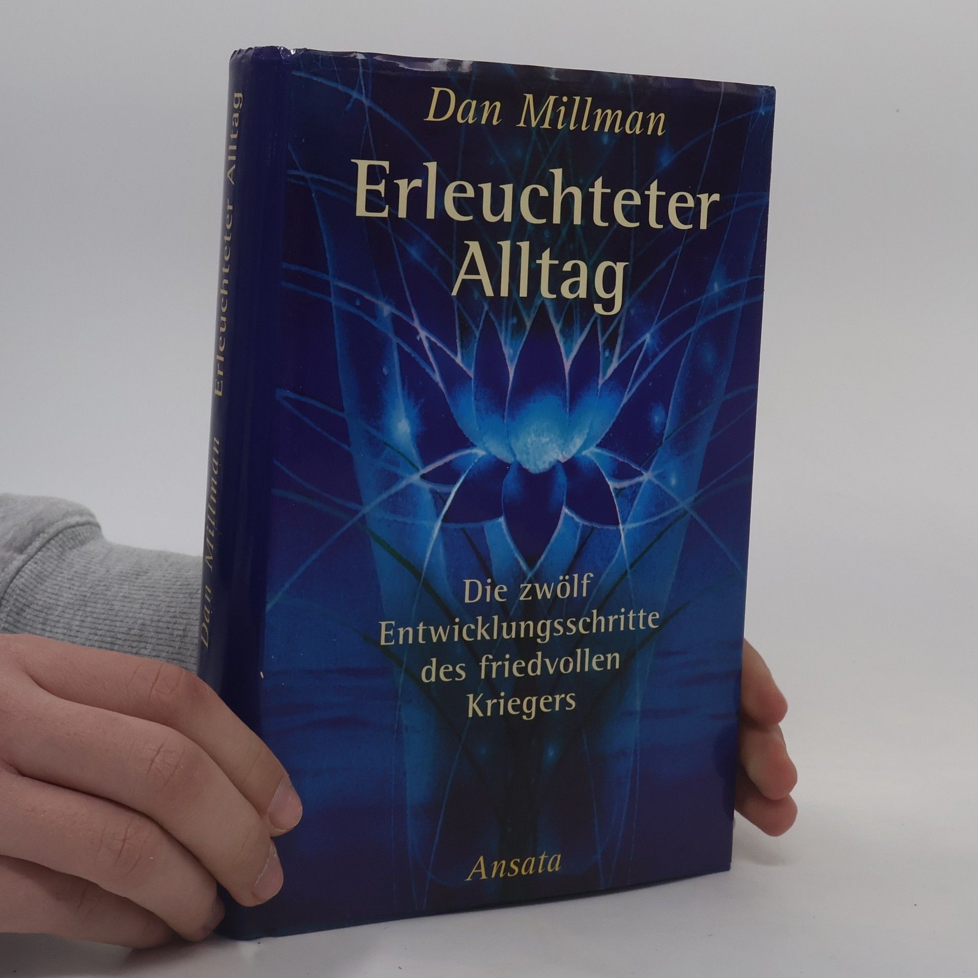 Erleuchteter Alltag
