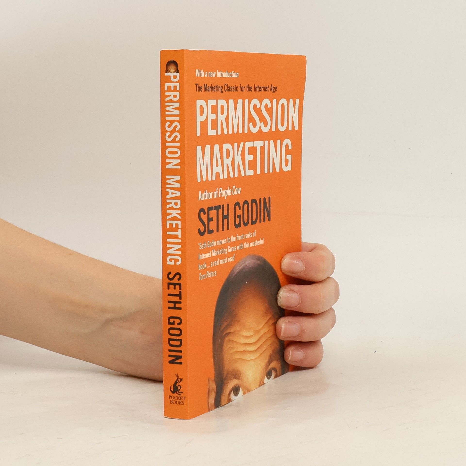 Seth Godin Permission marketing