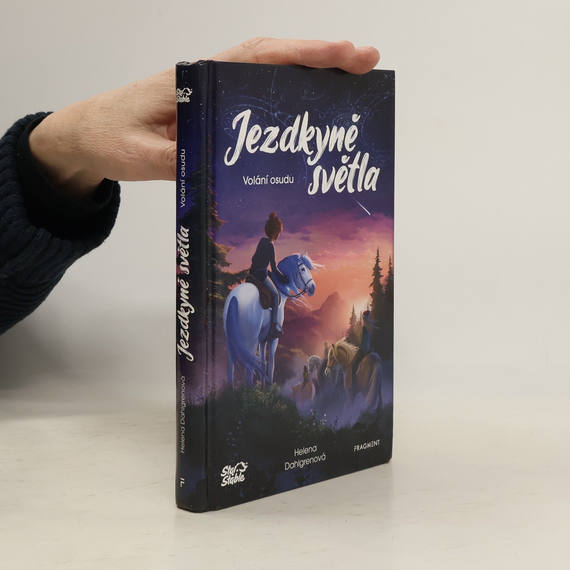 Helena Dahlgren Jezdkyně světla. Volání osudu