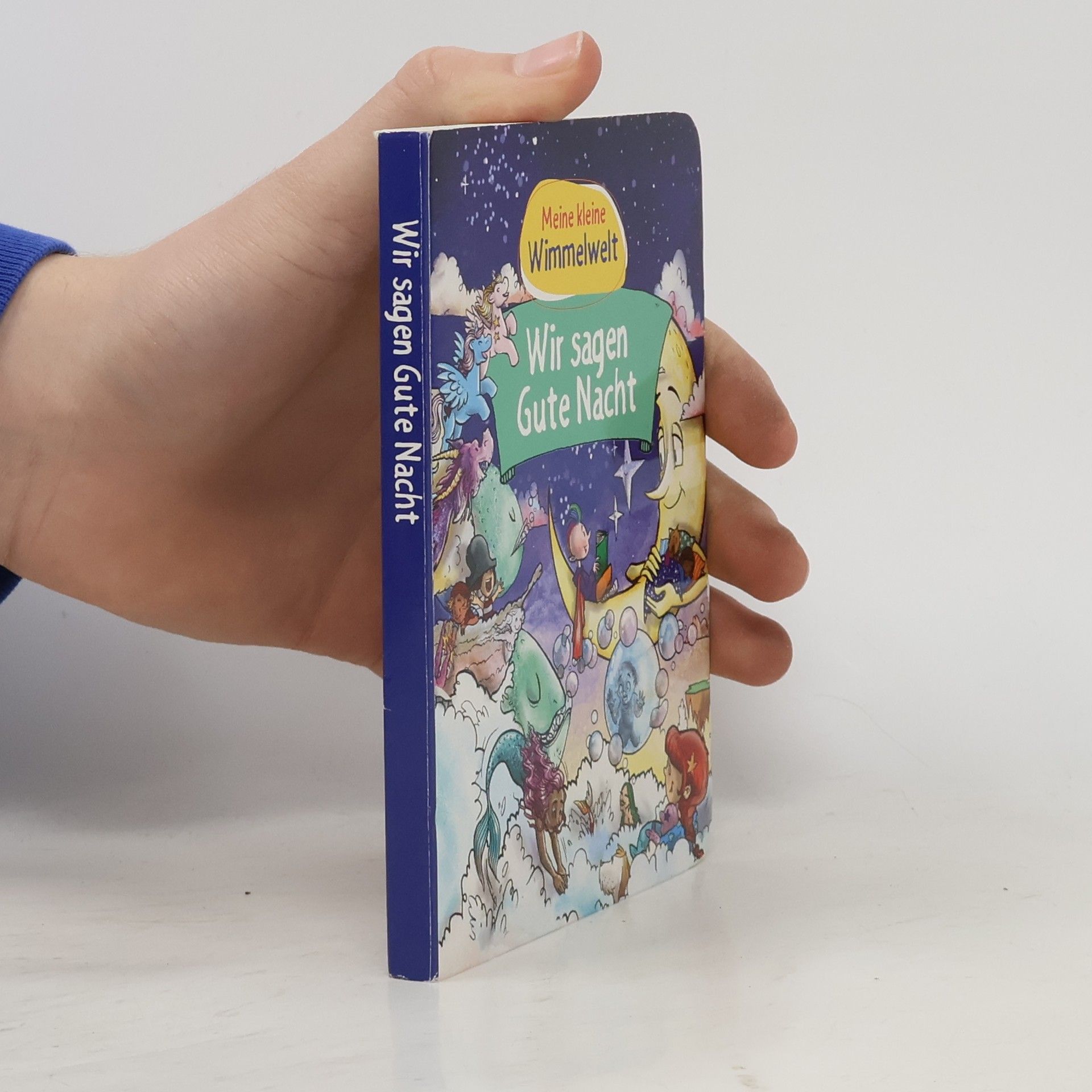 Kolektiv autorů Meine kleine Wimmelwelt. Wir sagen Gute Nacht