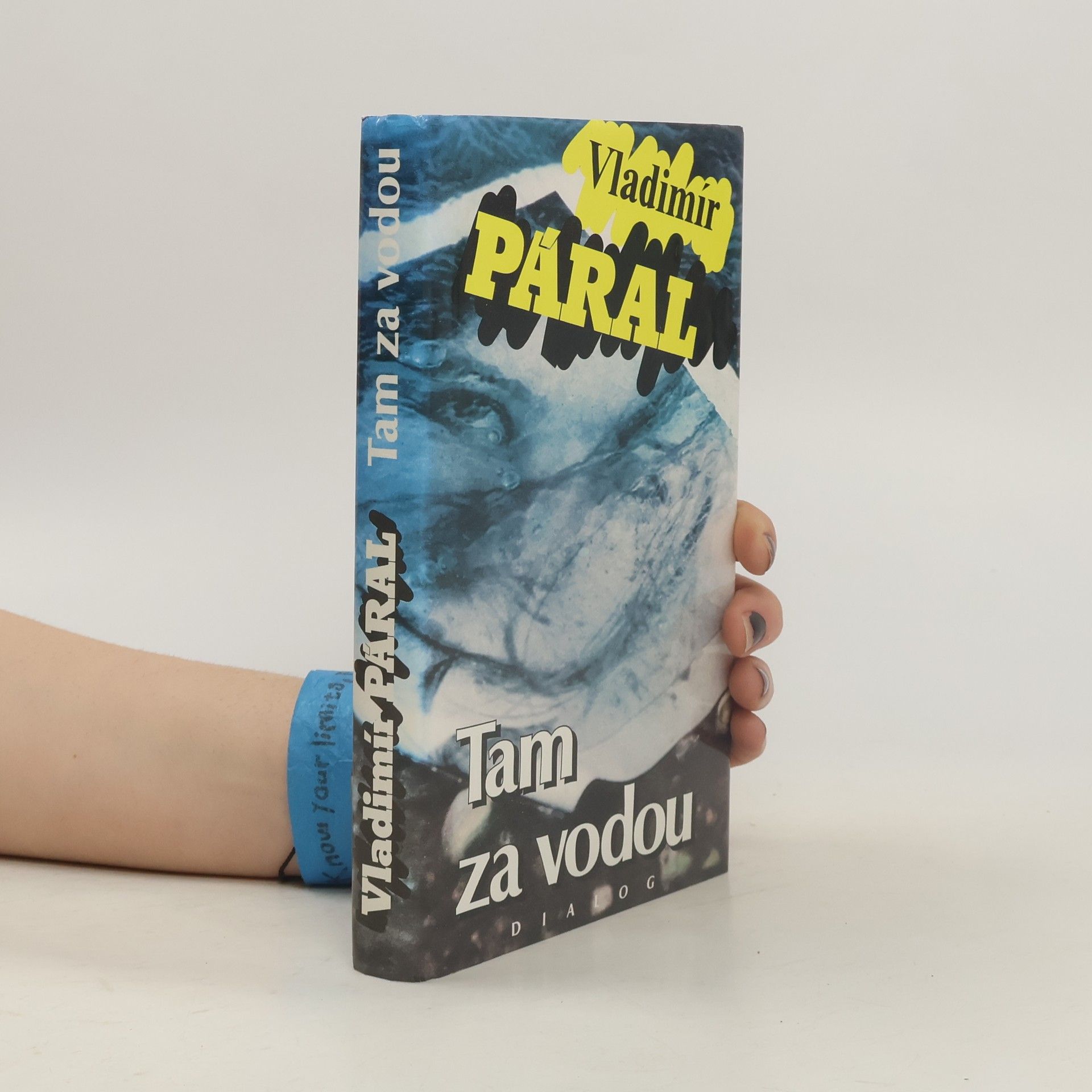 Vladimír Páral Tam za vodou