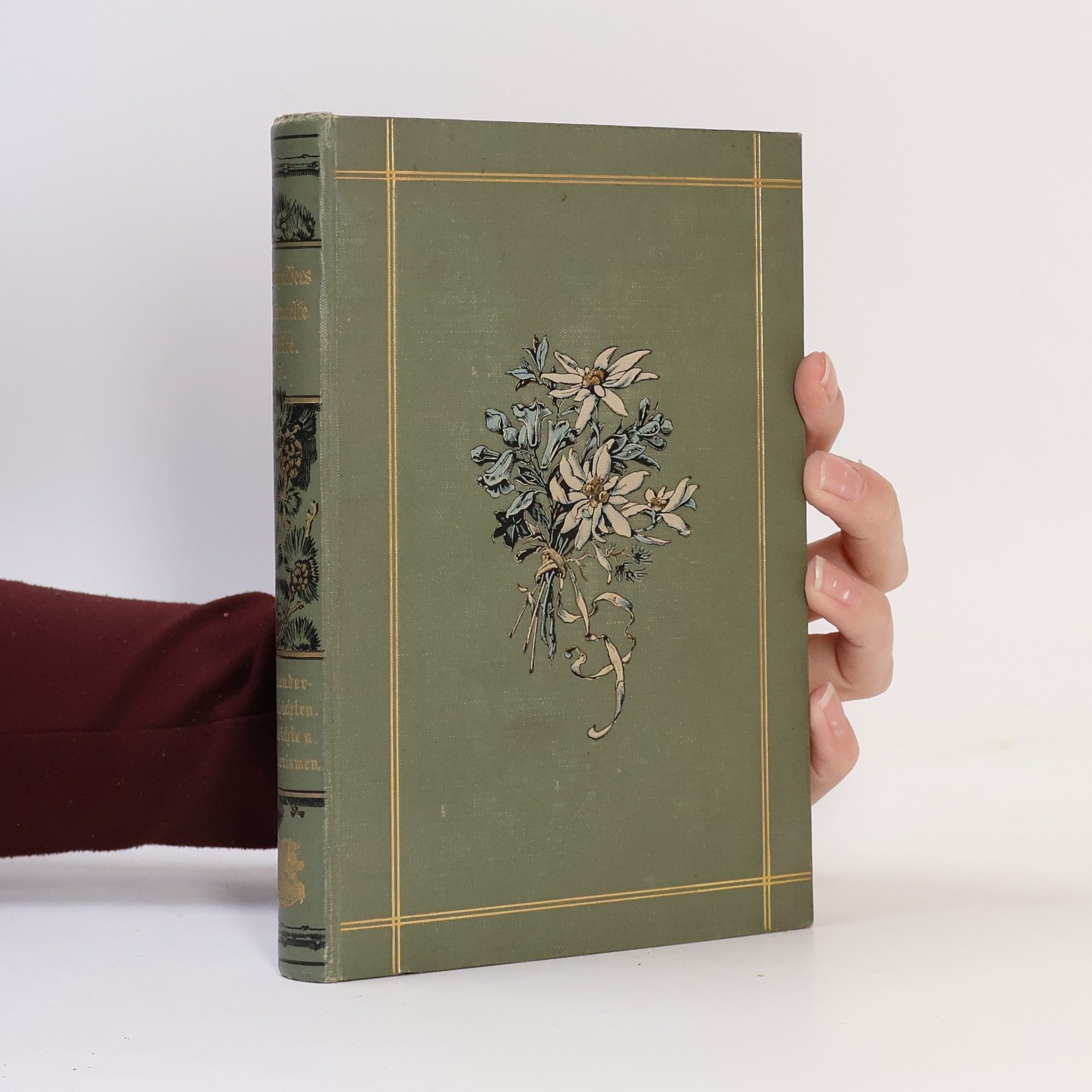 Ludwig Anzengruber Ludwig Anzengrubers Gesammelte Werke 5