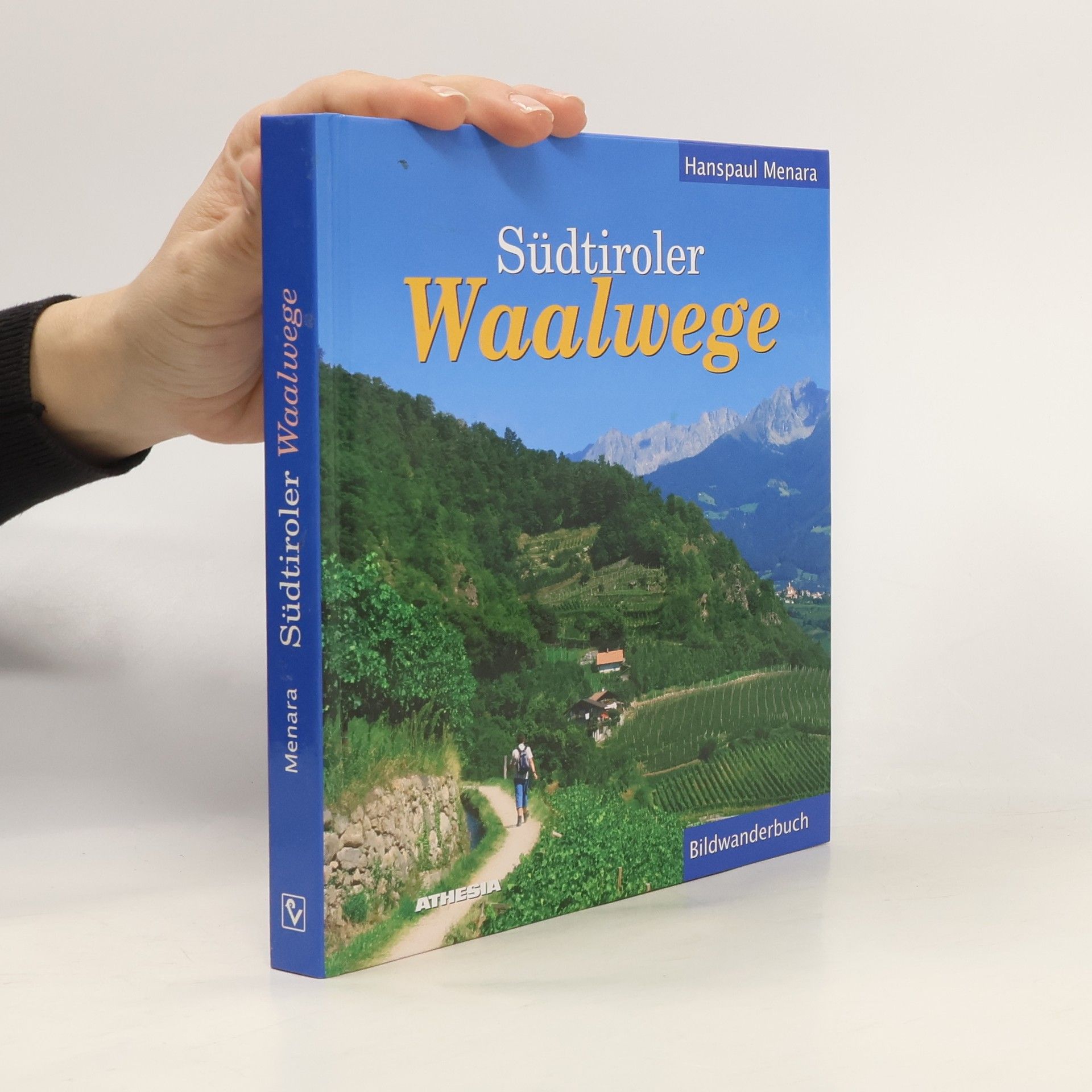 Hanspaul Menara Südtiroler Waalwege