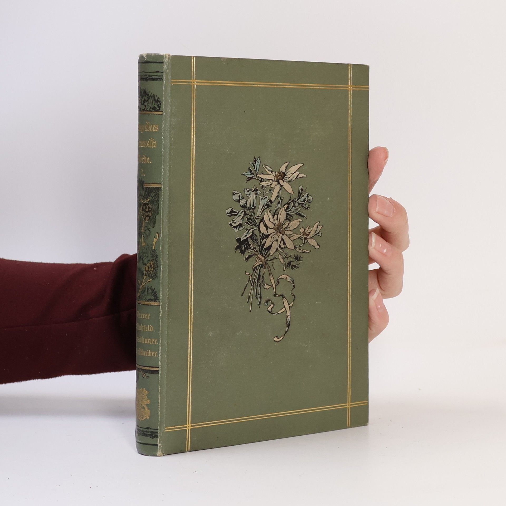 Ludwig Anzengruber Gesammelte Werke in zehn Bänden 6