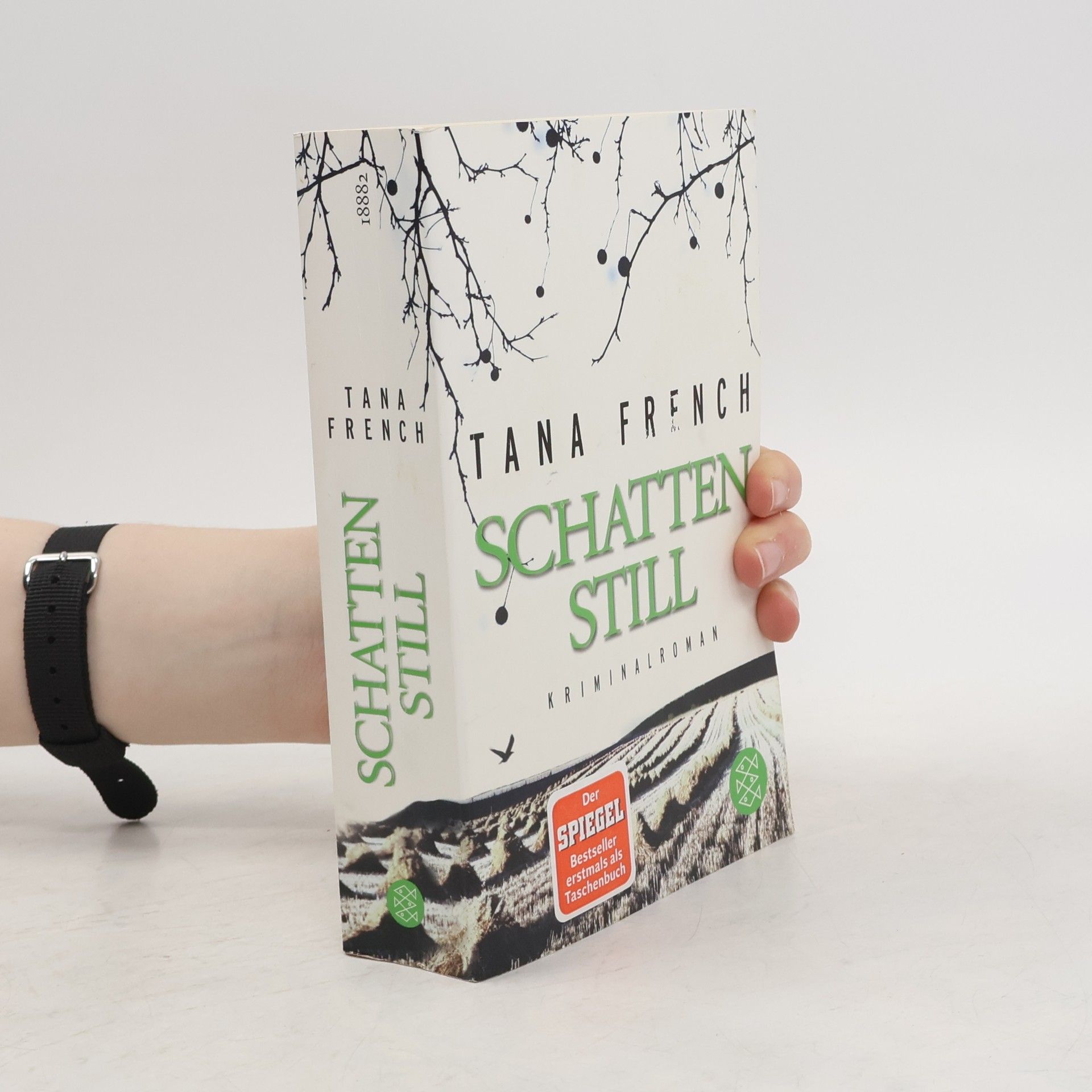 Schattenstill