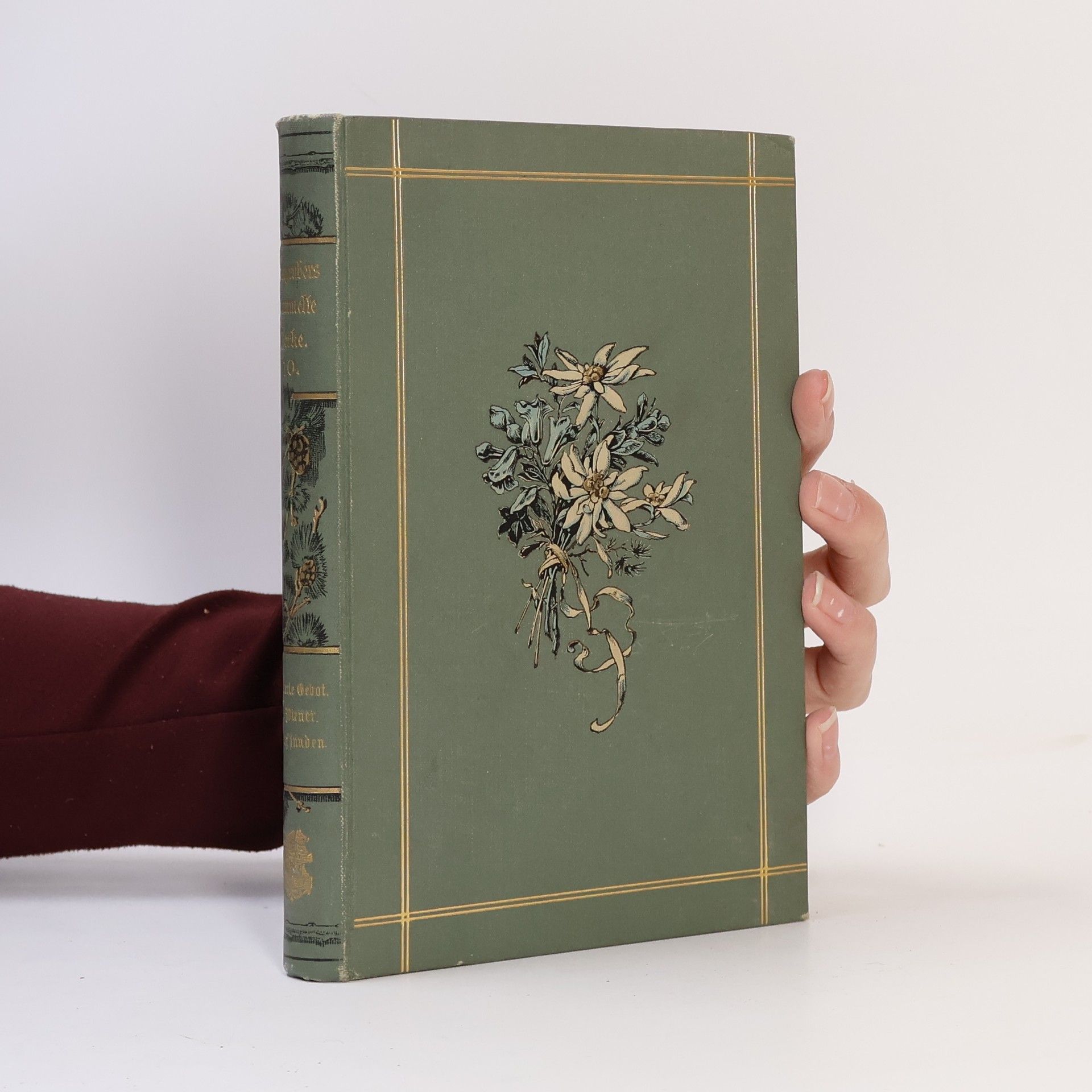 Ludwig Anzengruber Ludwig Anzengrubers Gesammelte Werke in Zehn Banden. Band 10