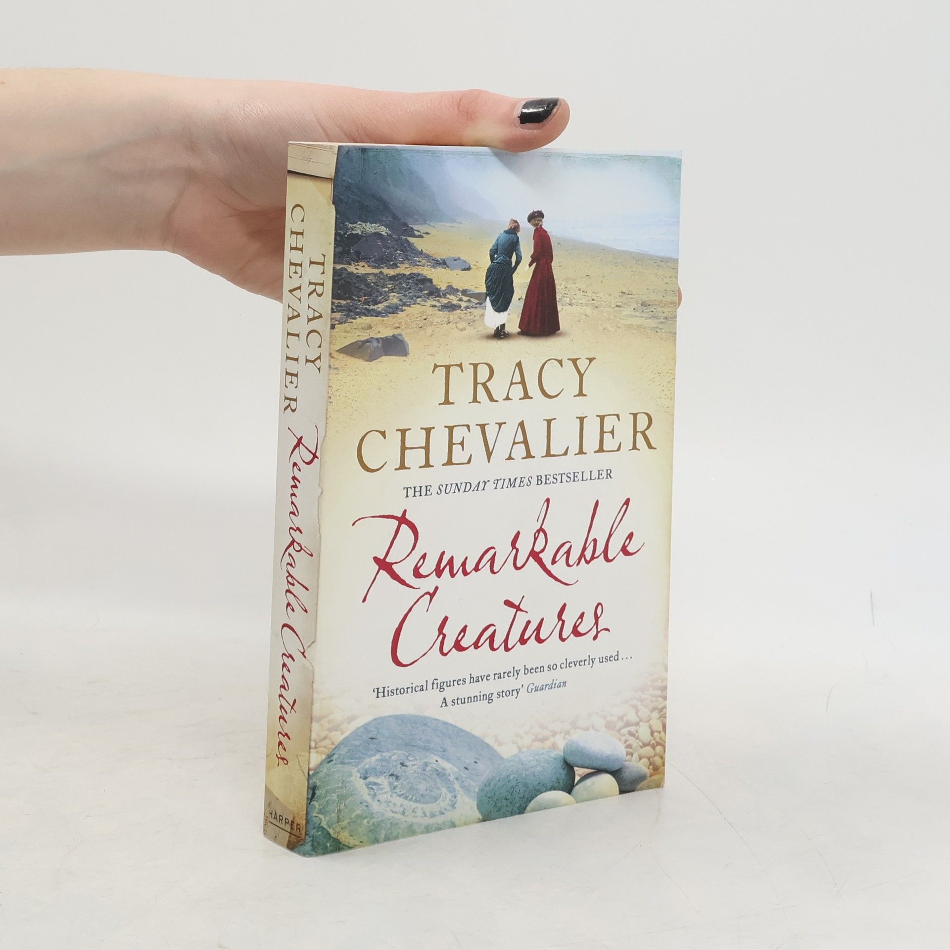 Tracy Chevalier Remarkable creatures