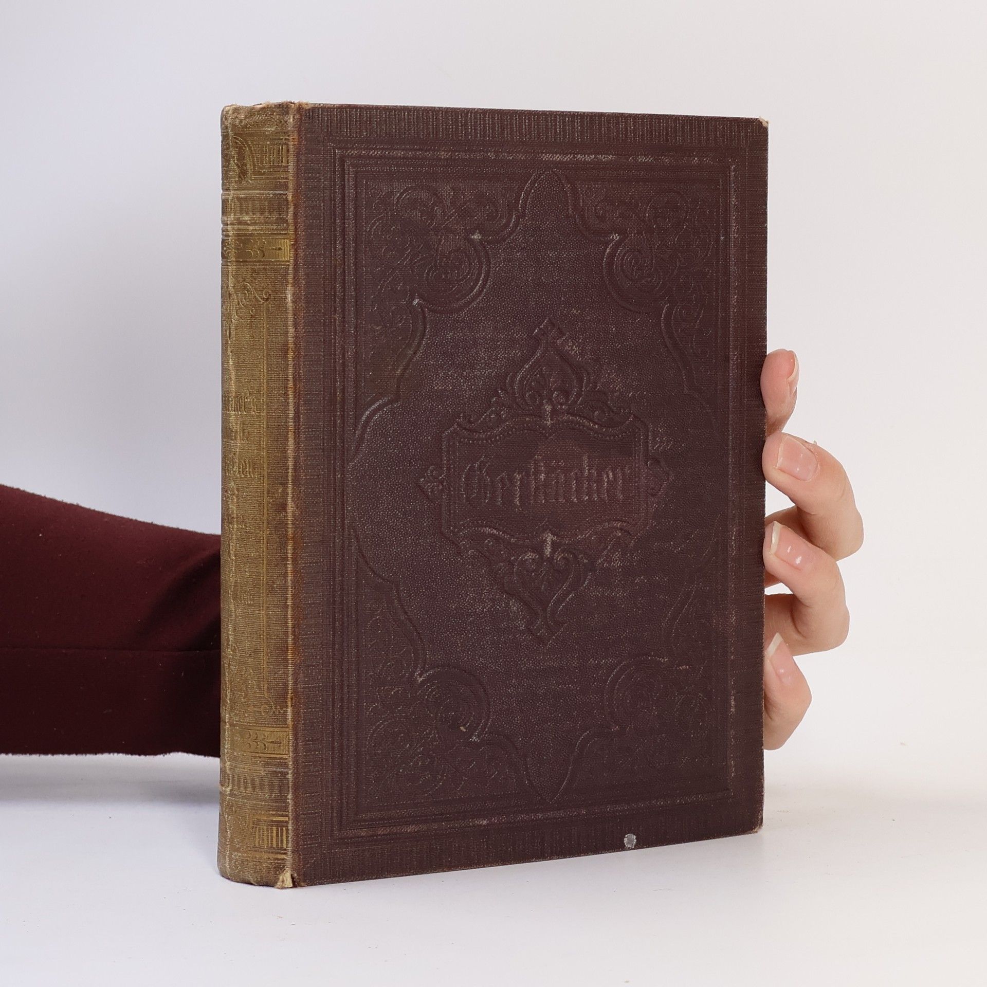 Friedrich Gerstäcker Gesammelte Schriften 8