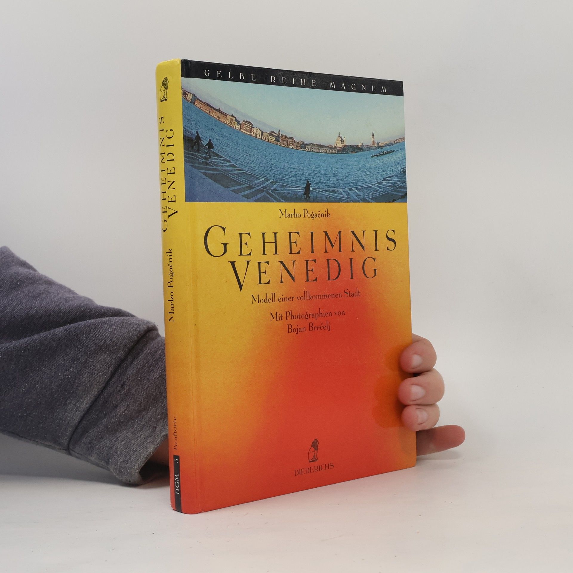 Marko Pogačnik Geheimnis Venedig