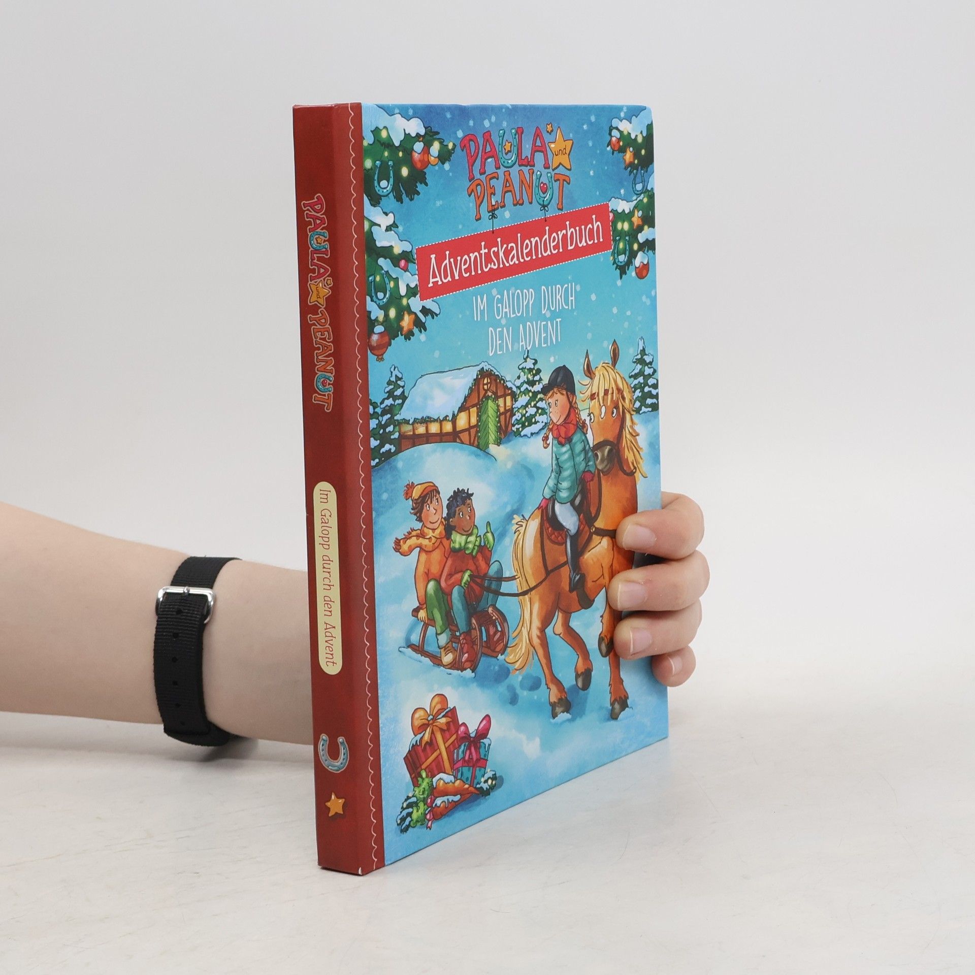 Julia Breitenöder Adventskalenderbuch. Im Galopp durch den Advent