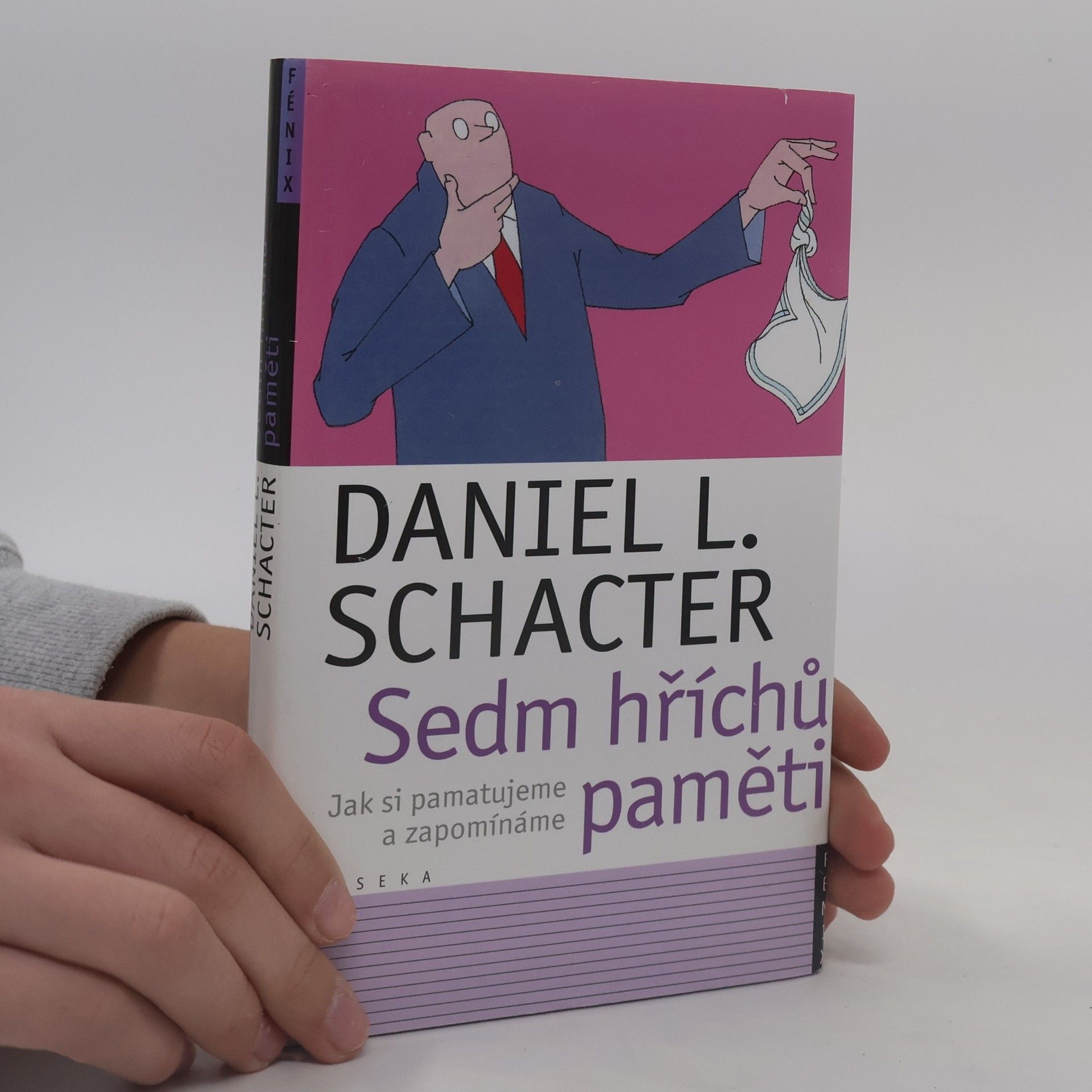 Daniel Schacter Sedm hříchů paměti: Jak si pamatujeme a zapomínáme