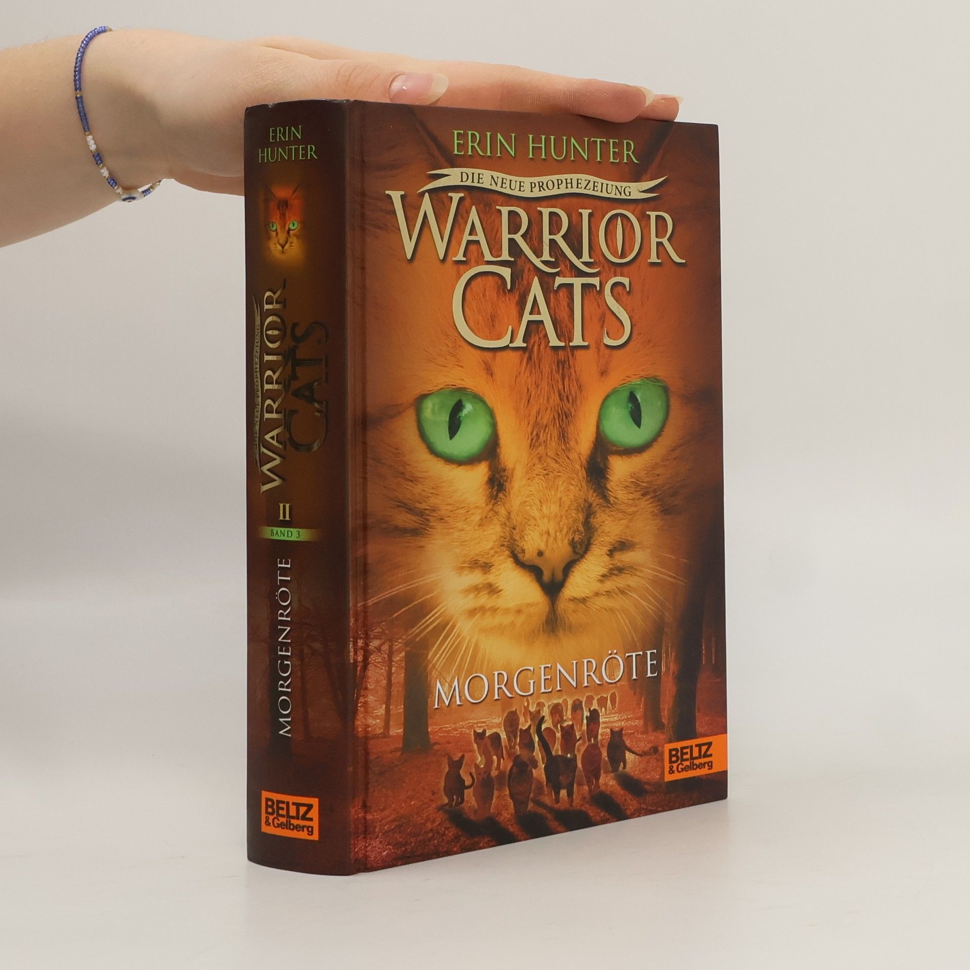 Erin Hunter Warrior Cats - Morgenröte