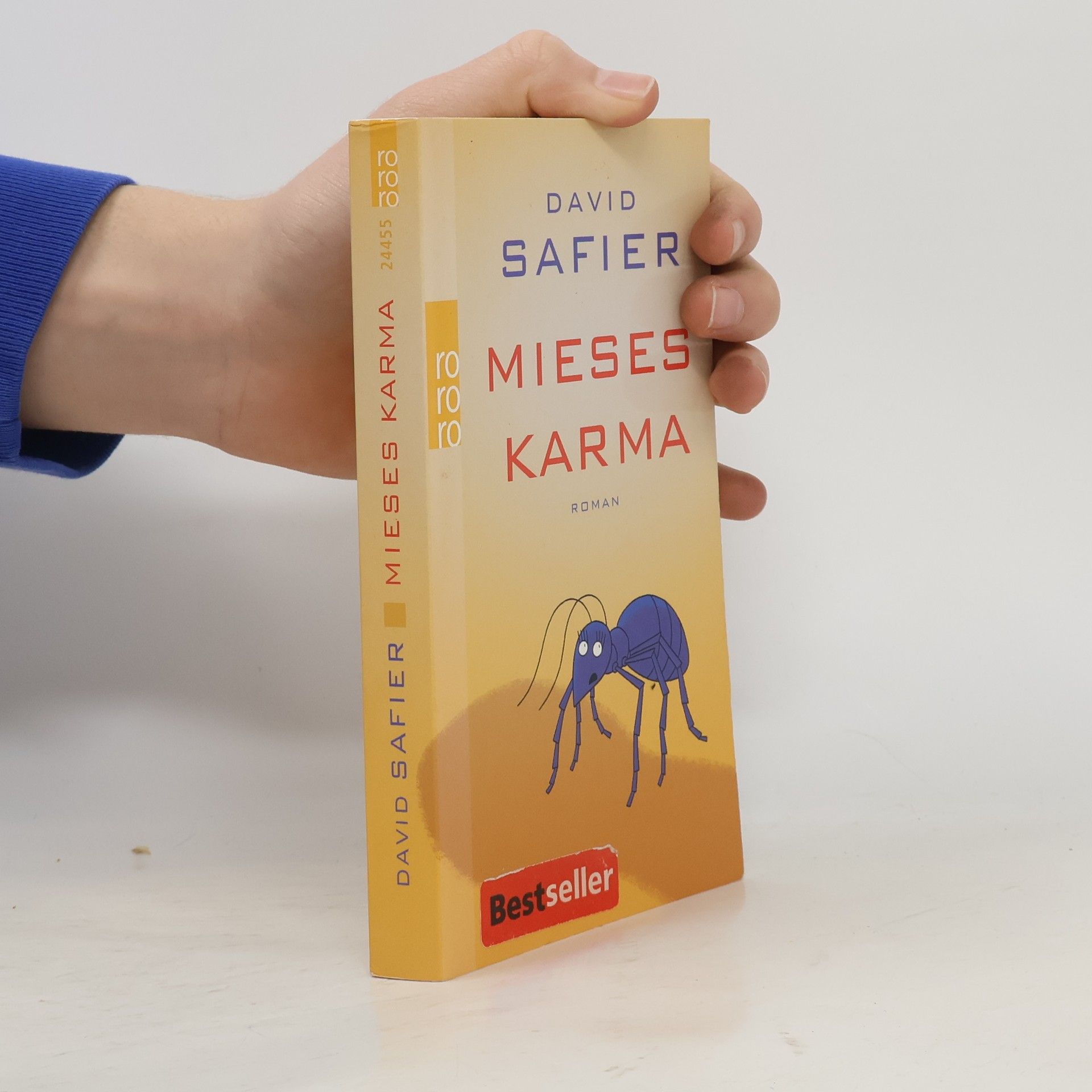 David Safier Mieses Karma