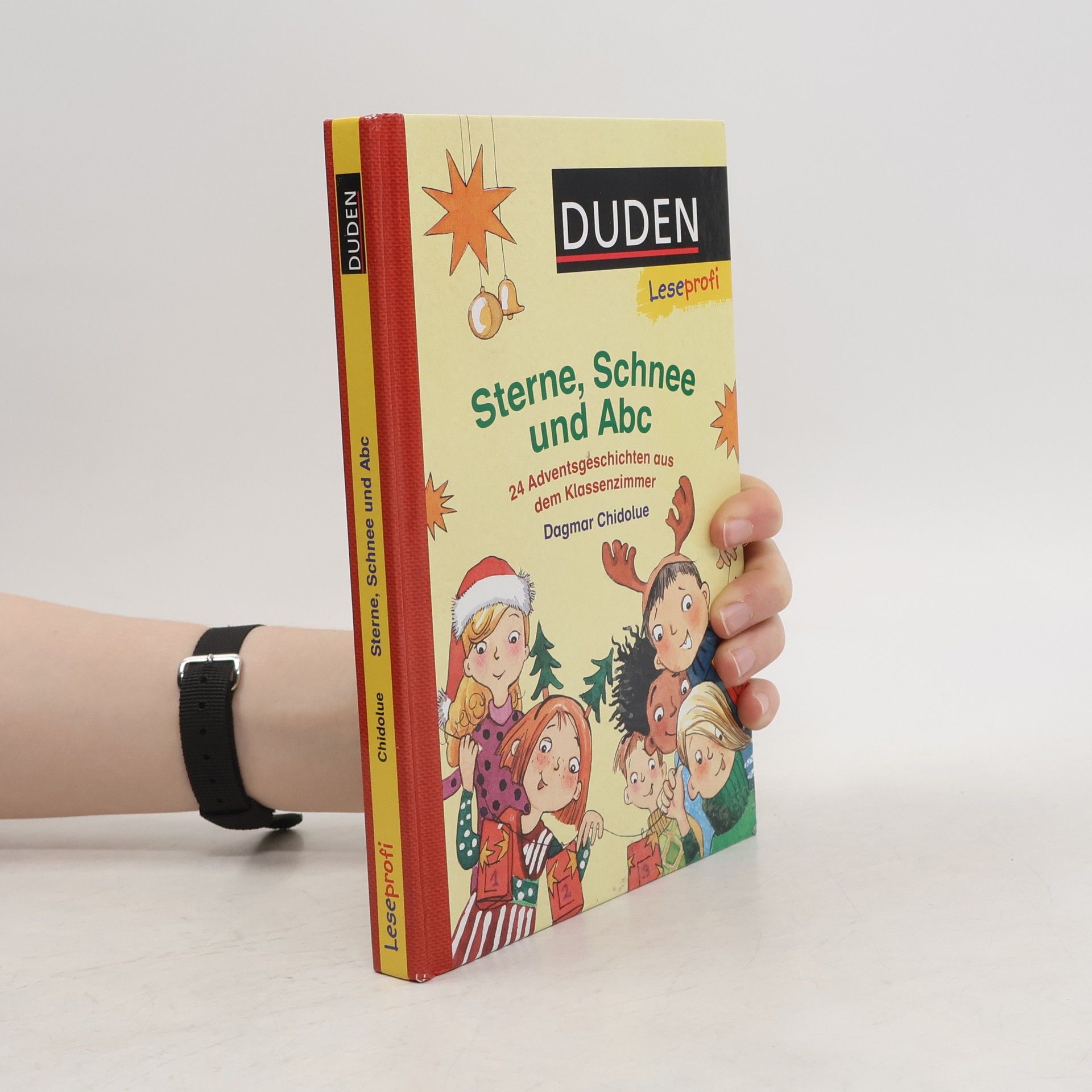 Dagmar Chidolue Leseprofi: Sterne, Schnee und ABC