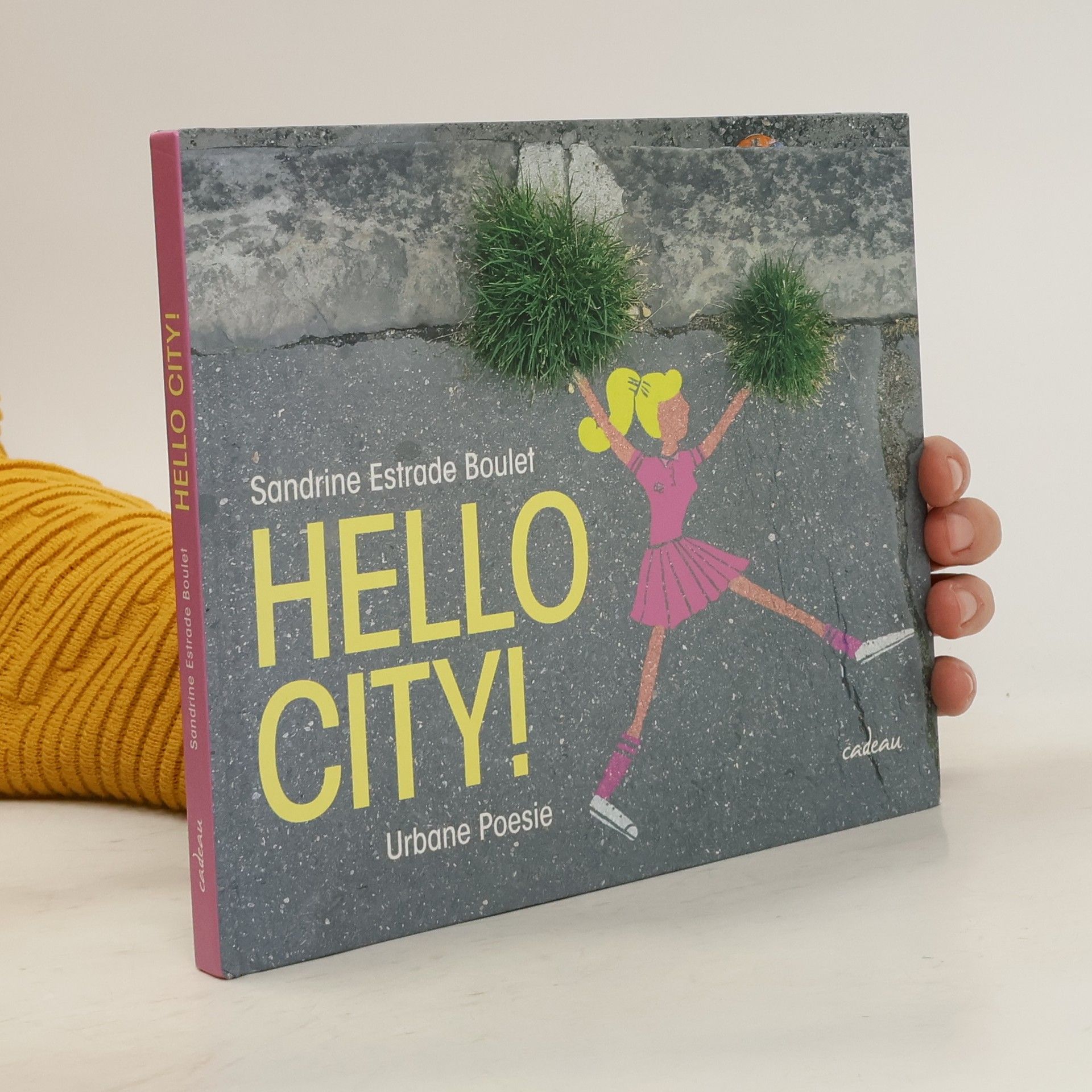Sandrine Estrade Boulet Hello City!. Urbane Poesie
