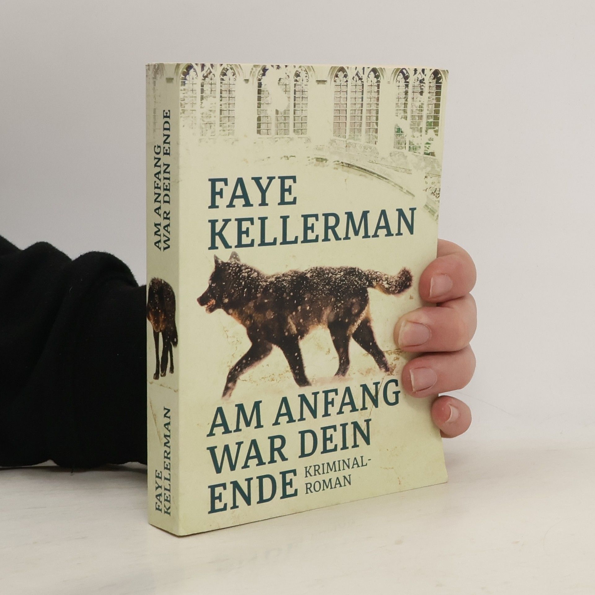 Faye Kelermann Am Anfang war dein Ende