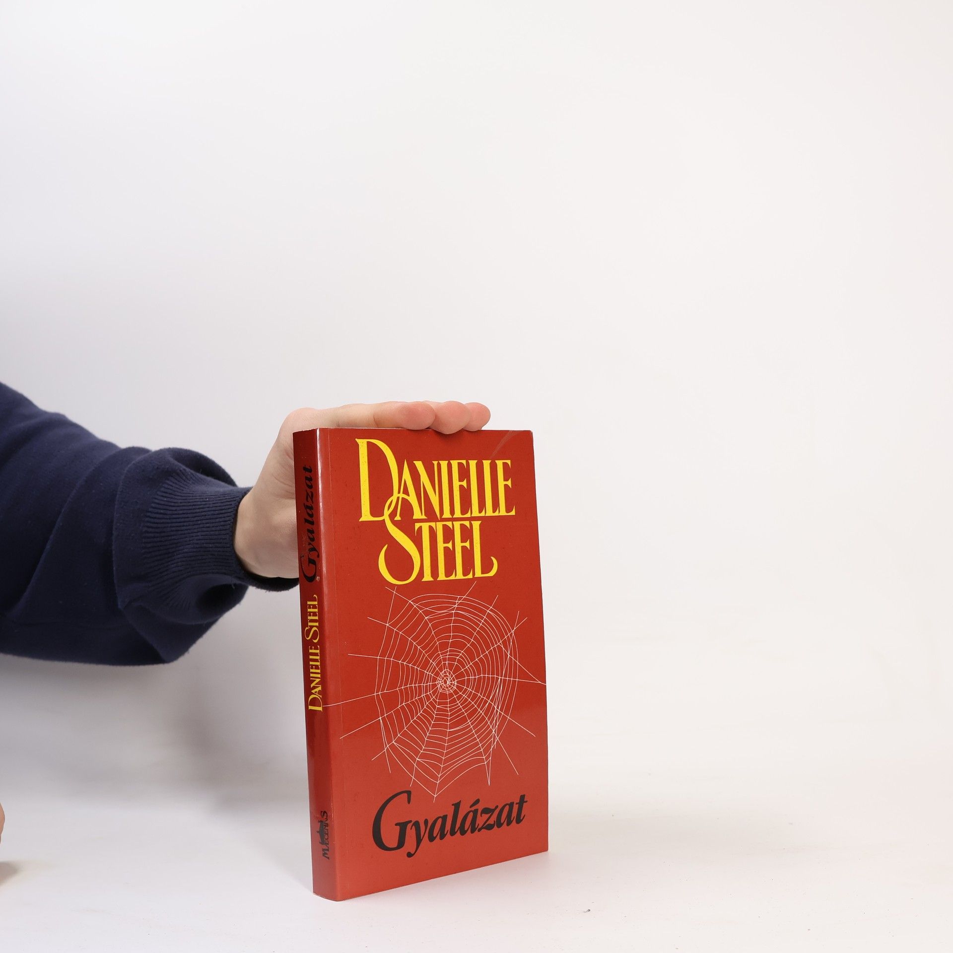 Danielle Steel Gyalázat