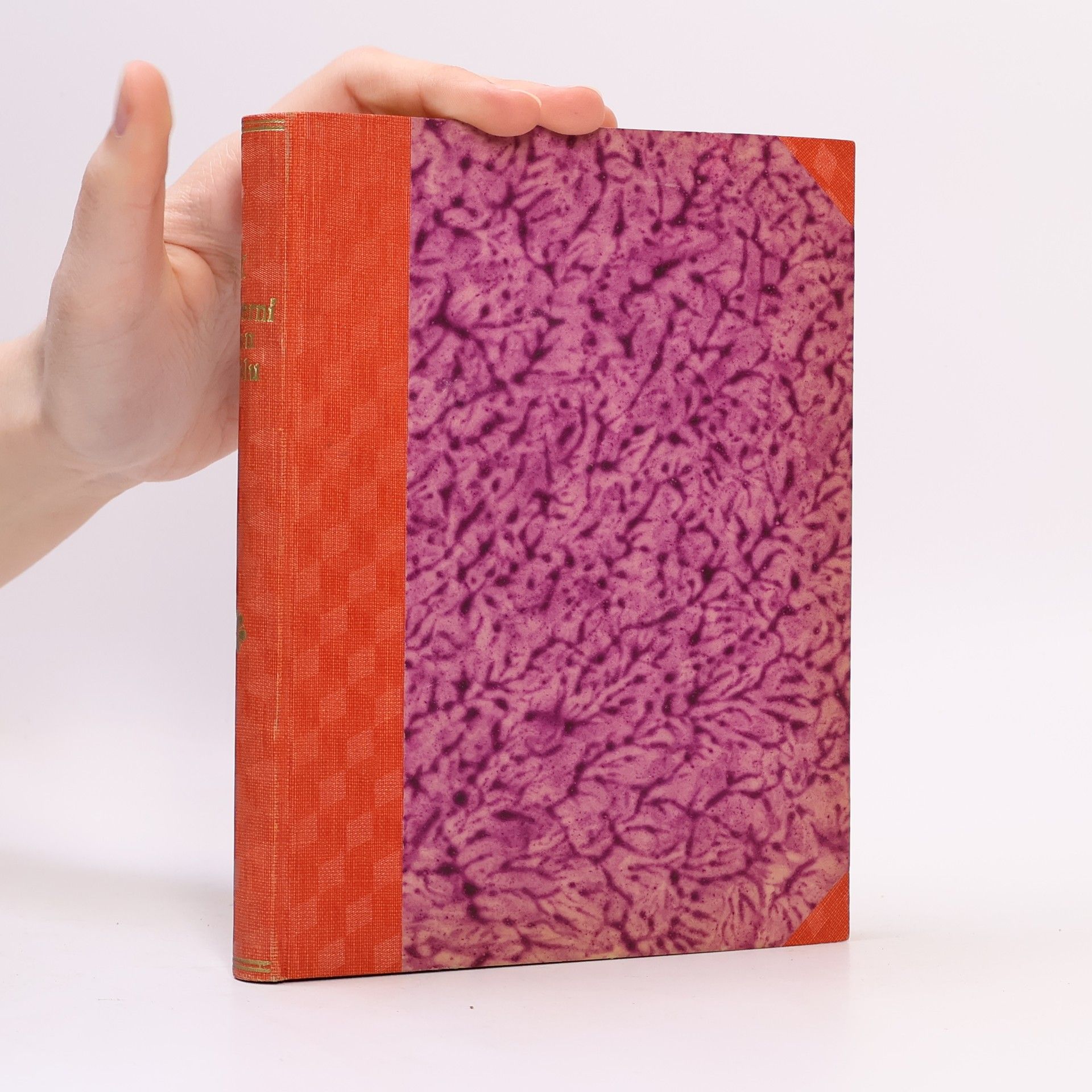 Kolektív autorov S Krasinem k severnímu pólu