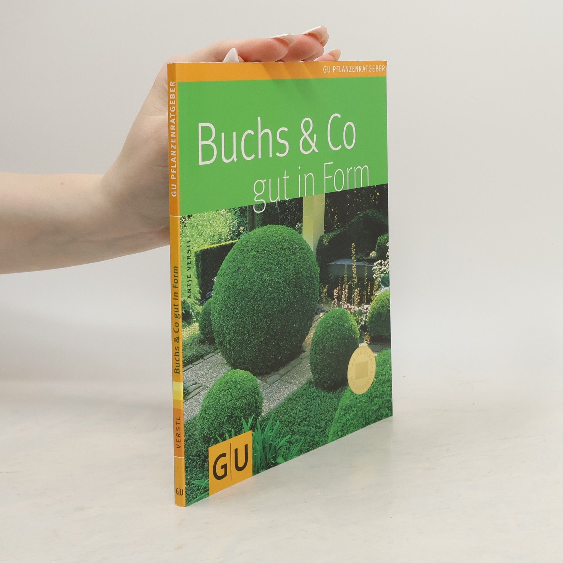 Antje Verstl Buchs & Co gut in Form