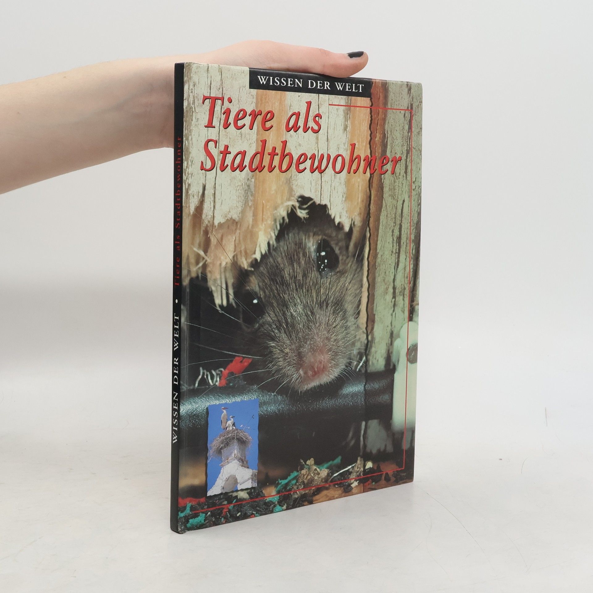 Autorenkollektiv Tiere als Stadtbewohner