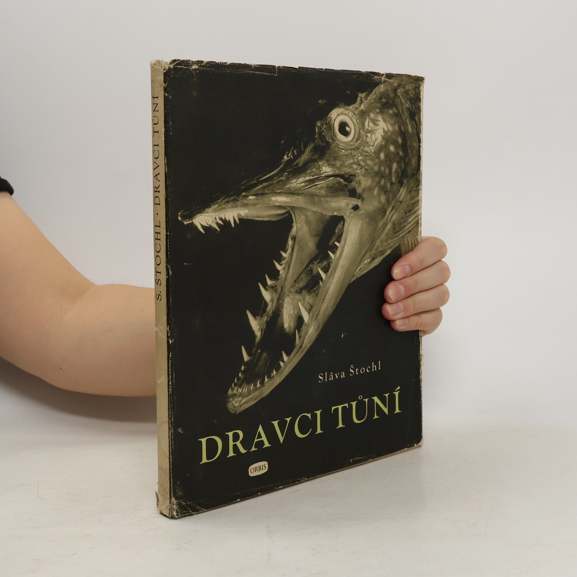 Sláva Štochl Dravci tůní