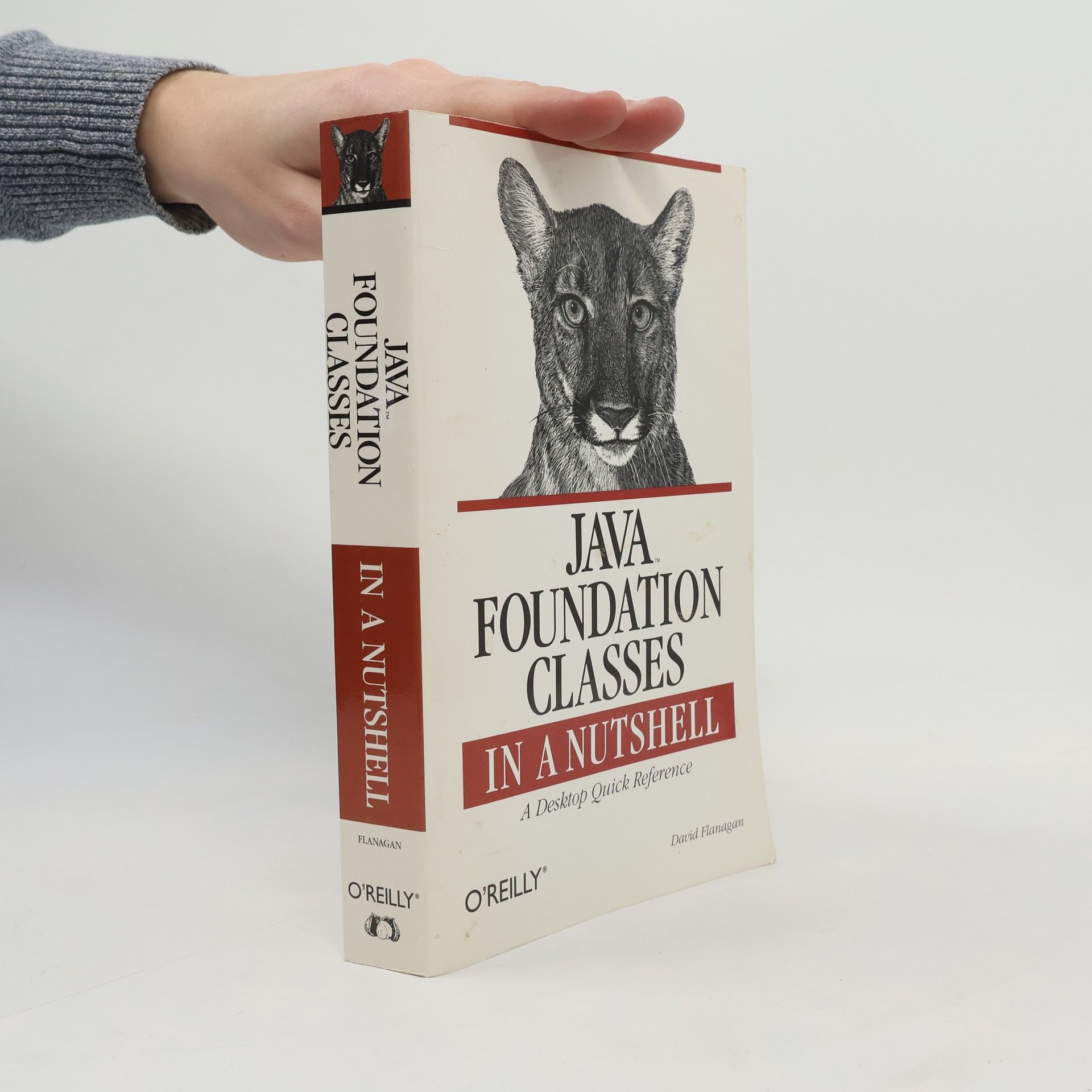 David Flanagan Java Foundation Classes in a Nutshell
