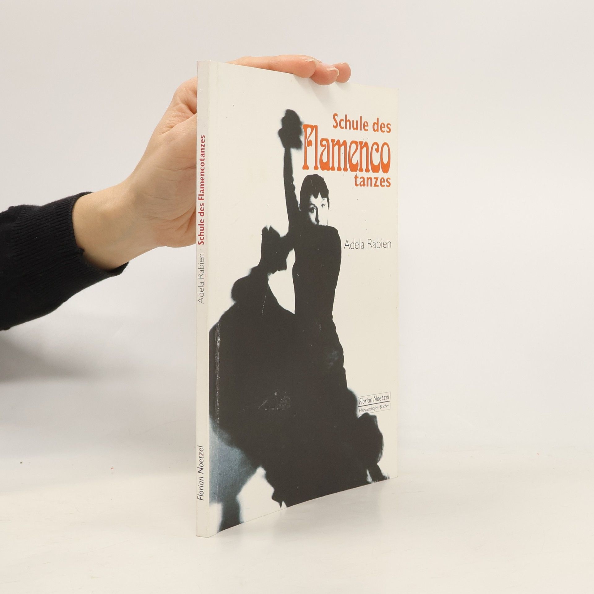 Adela Rabien Schule des Flamencotanzes. Ein Arbeitsbuch