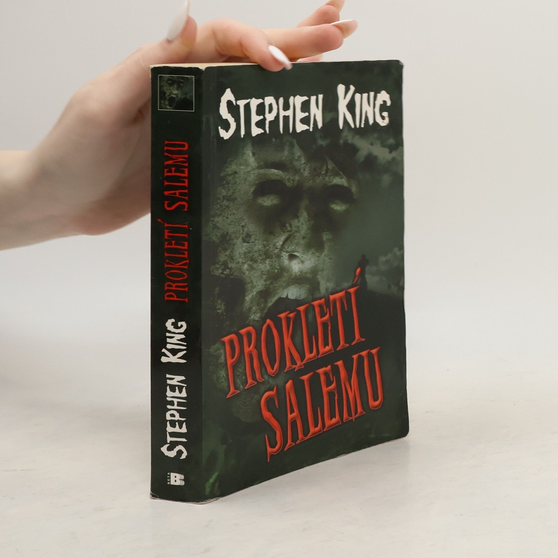 Stephen King Prokletí Salemu