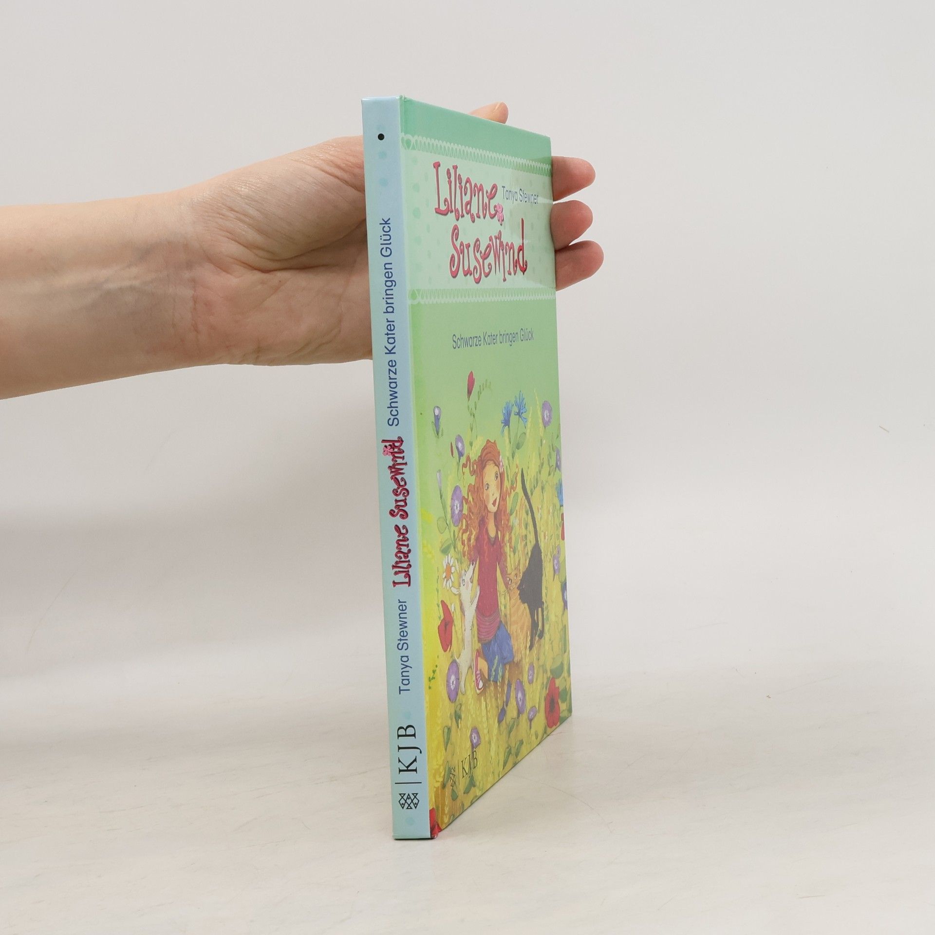 Tanya Stewner Schwarze Kater bringen Glück