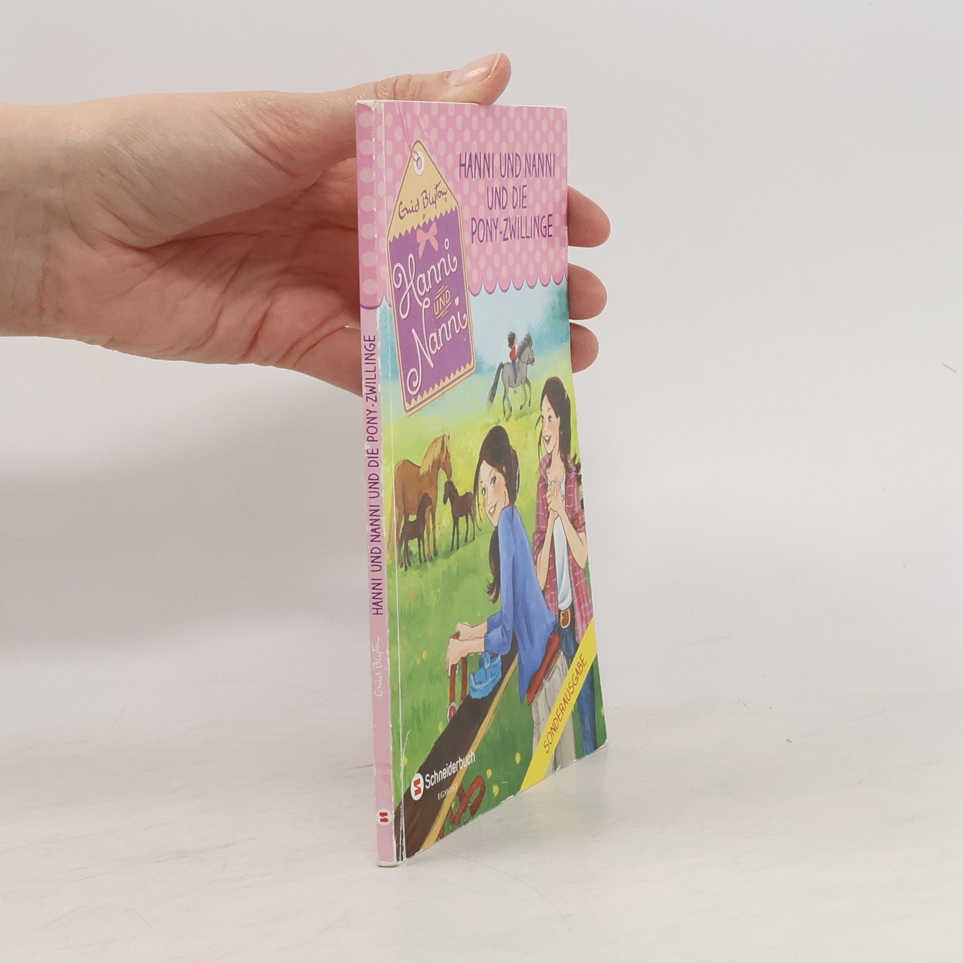 Enid Blyton Hanni und Nanni und die Pony-Zwillinge