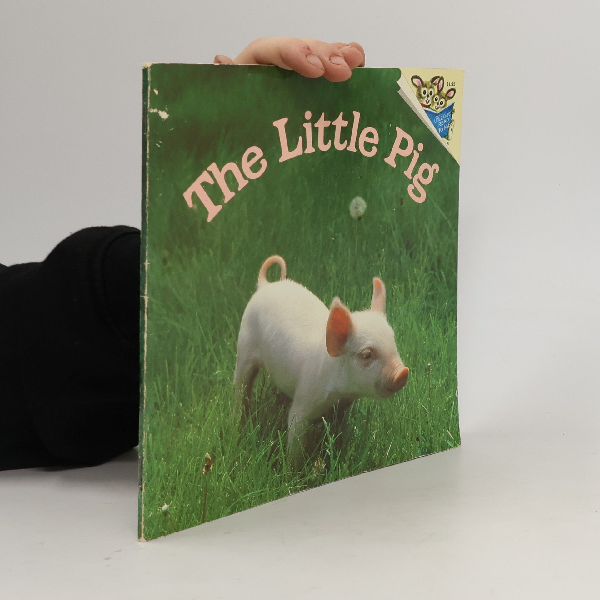 Judy Dunn The Little Pig