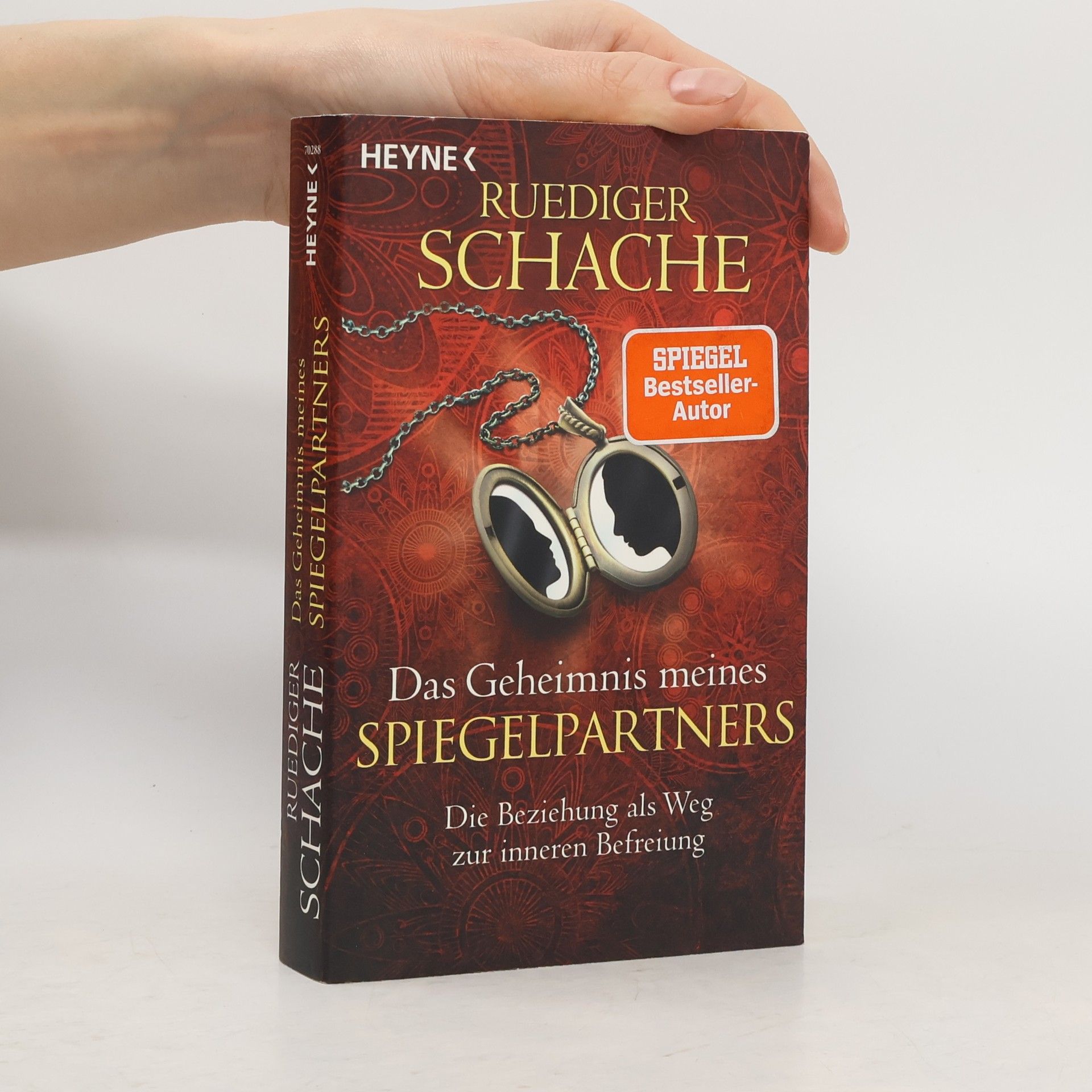 Ruediger Schache Das Geheimnis meines Spiegelpartners