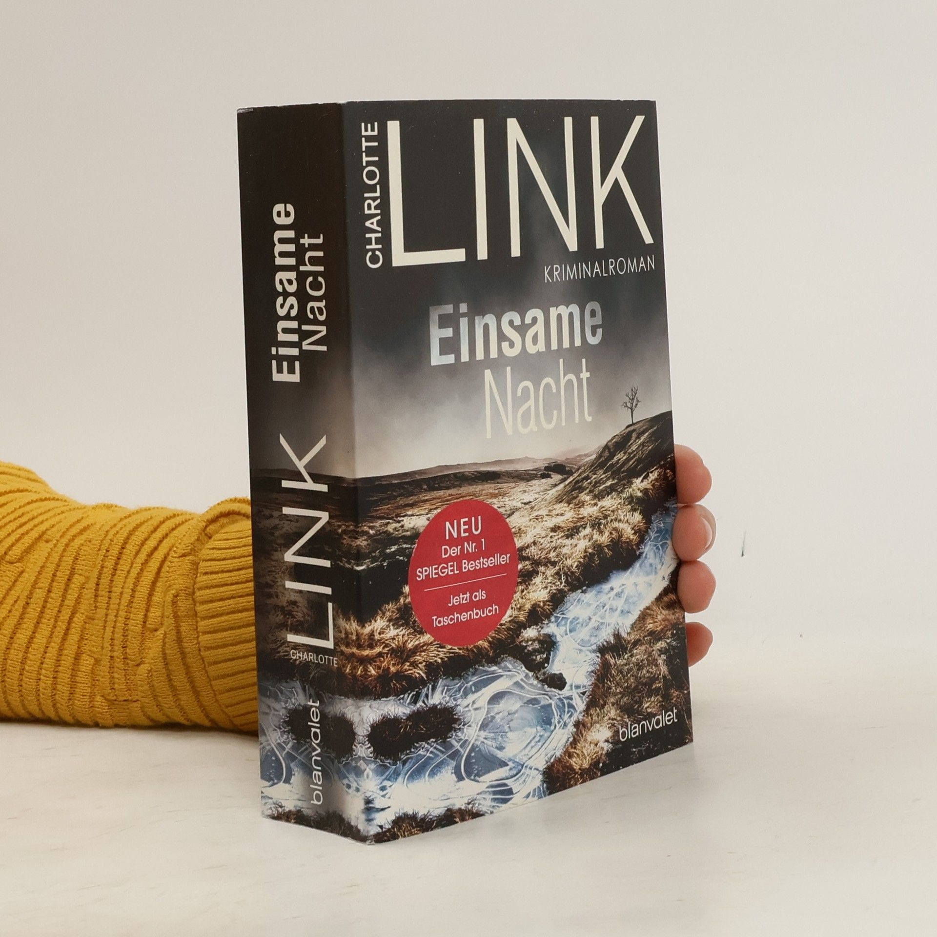 Charlotte Link Einsame Nacht