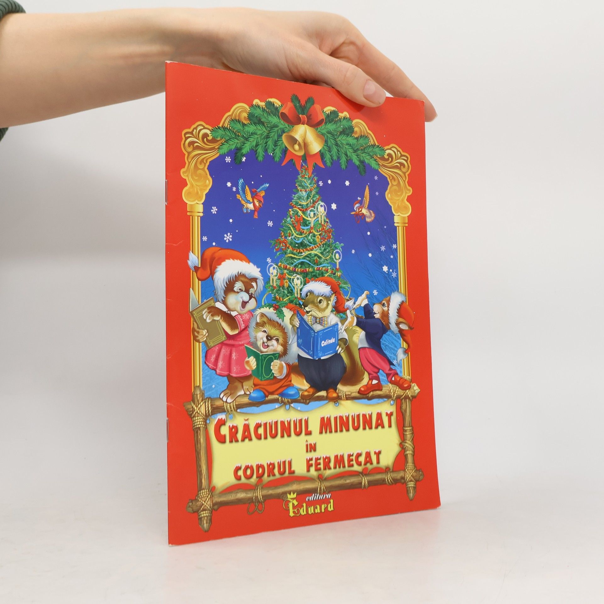 Autorenkollektiv Craciunul minunat in codrul fermecat