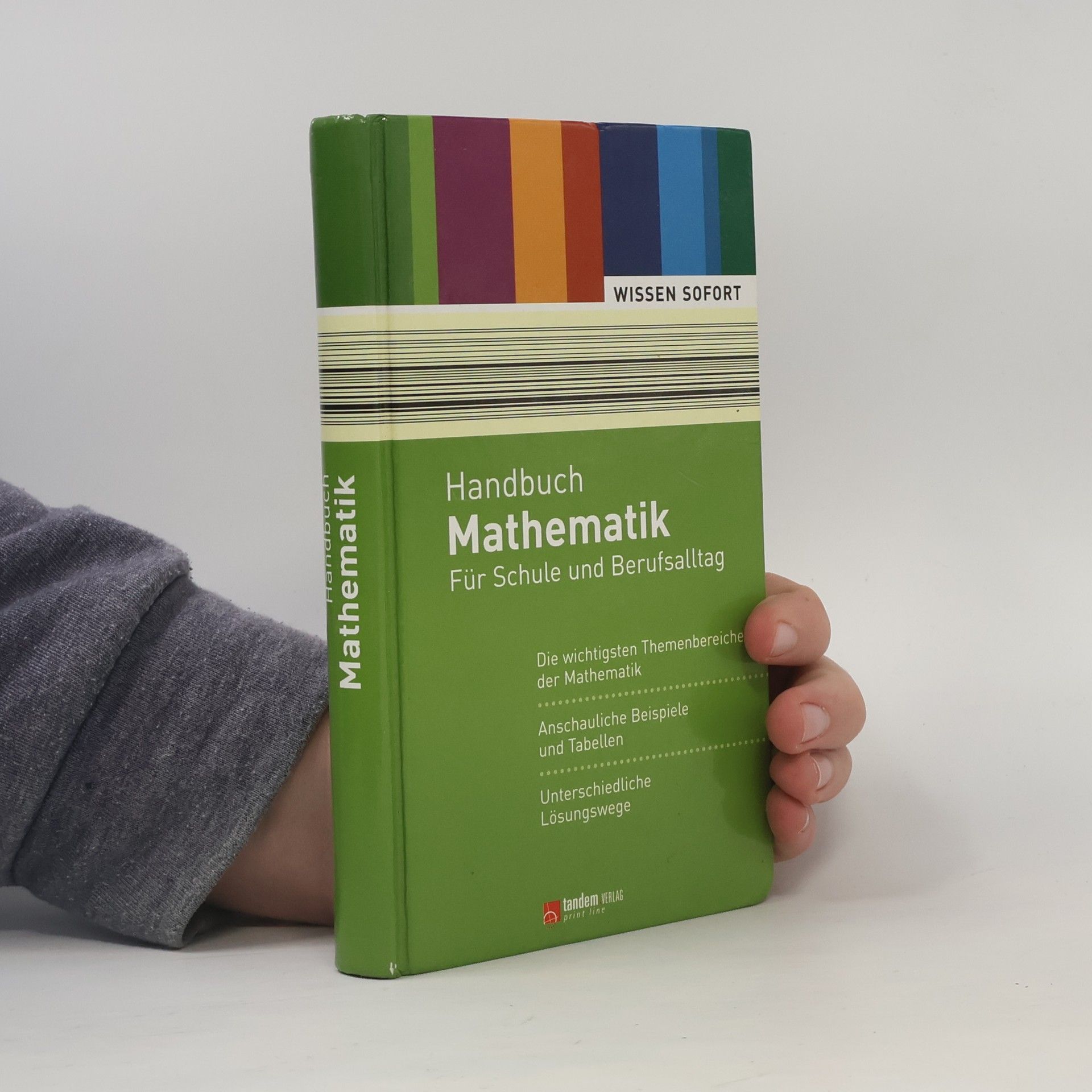 Kolektiv autorů Handbuch Mathematik. Für Schule und Berufsalltag