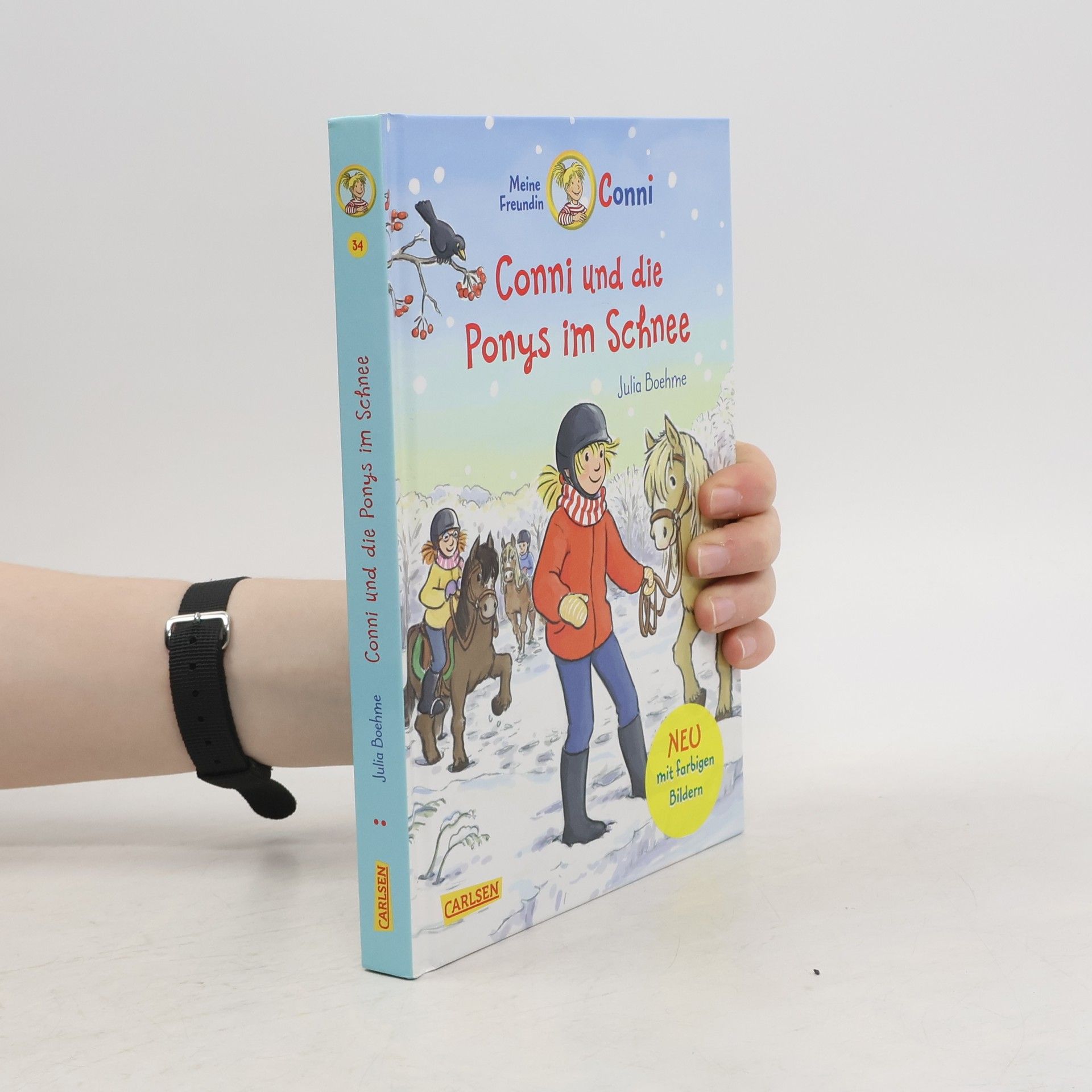 Julia Boehme Conni und die Ponys im Schnee