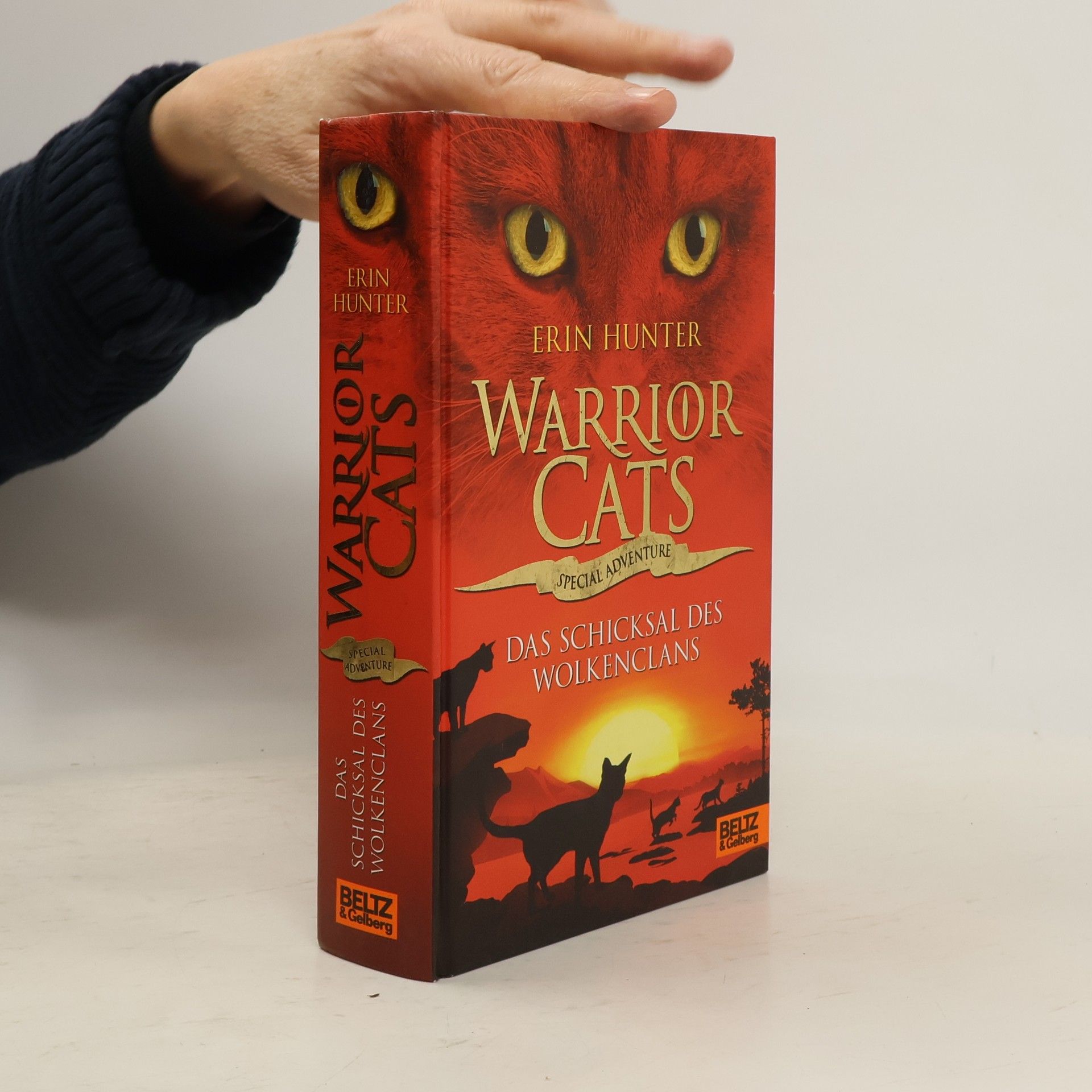 Erin Hunter Warrior Cats: Das Schicksal des WolkenClans