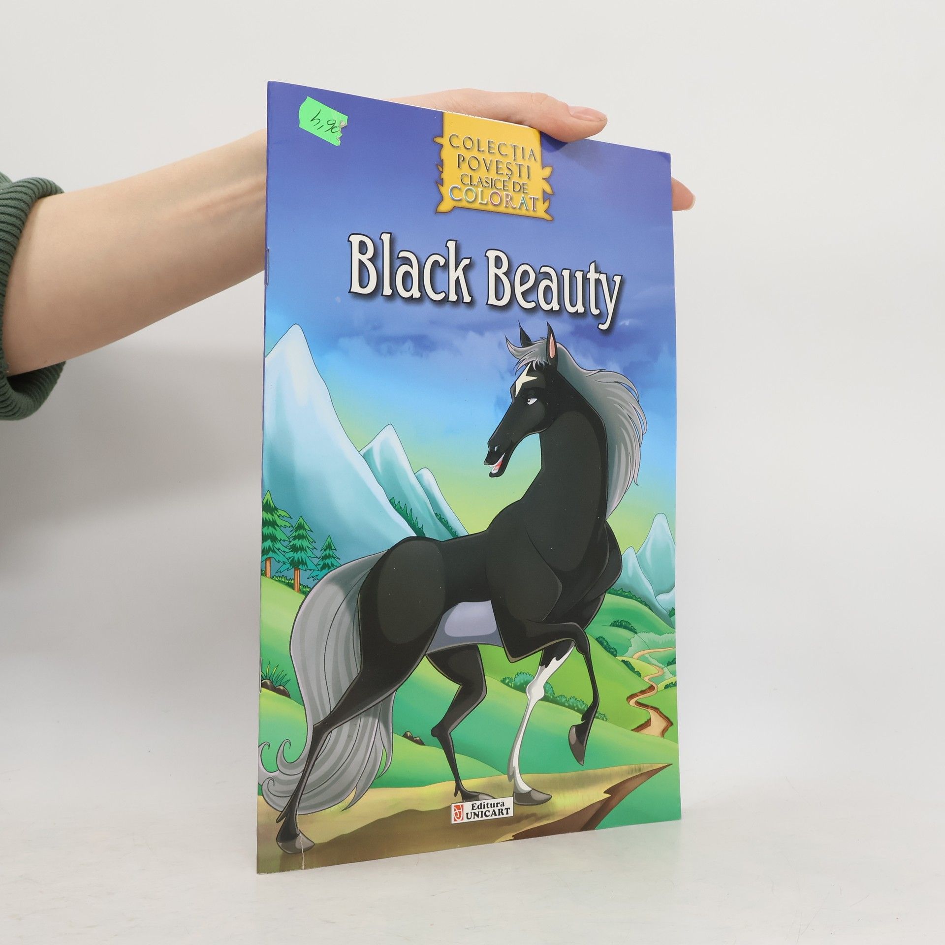 Collectif d'auteurs Black Beauty