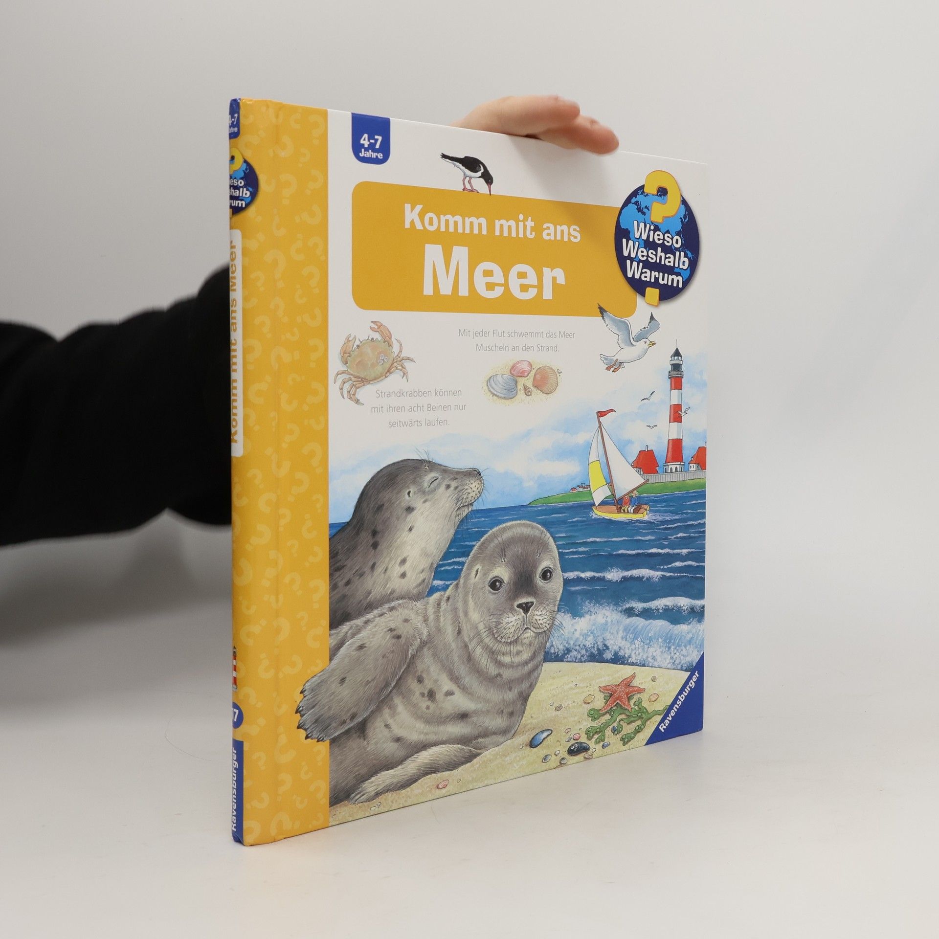 Angela Weinhold Komm mit ans Meer