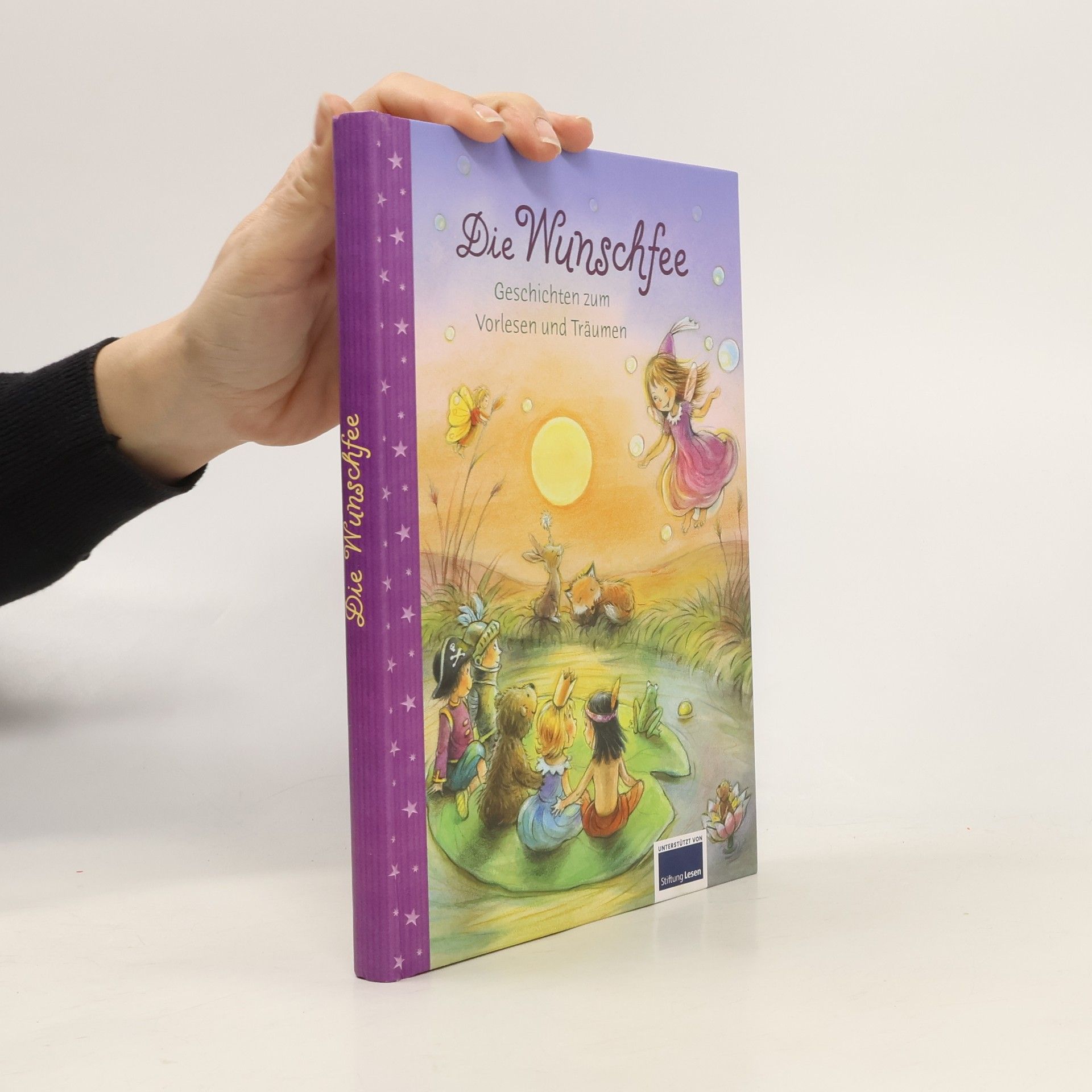 Autorenkollektiv Die Wunschfee. 56 Geschichten zum Vorlesen und Träumen