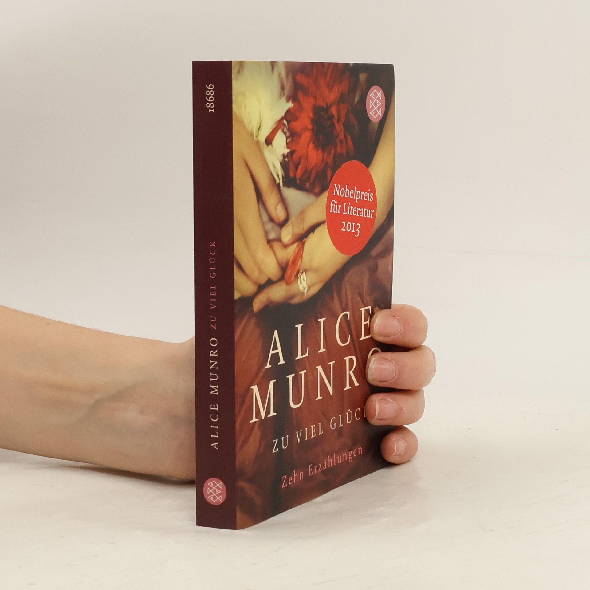 Alice Munro Zu viel Glück. zehn erzählungen