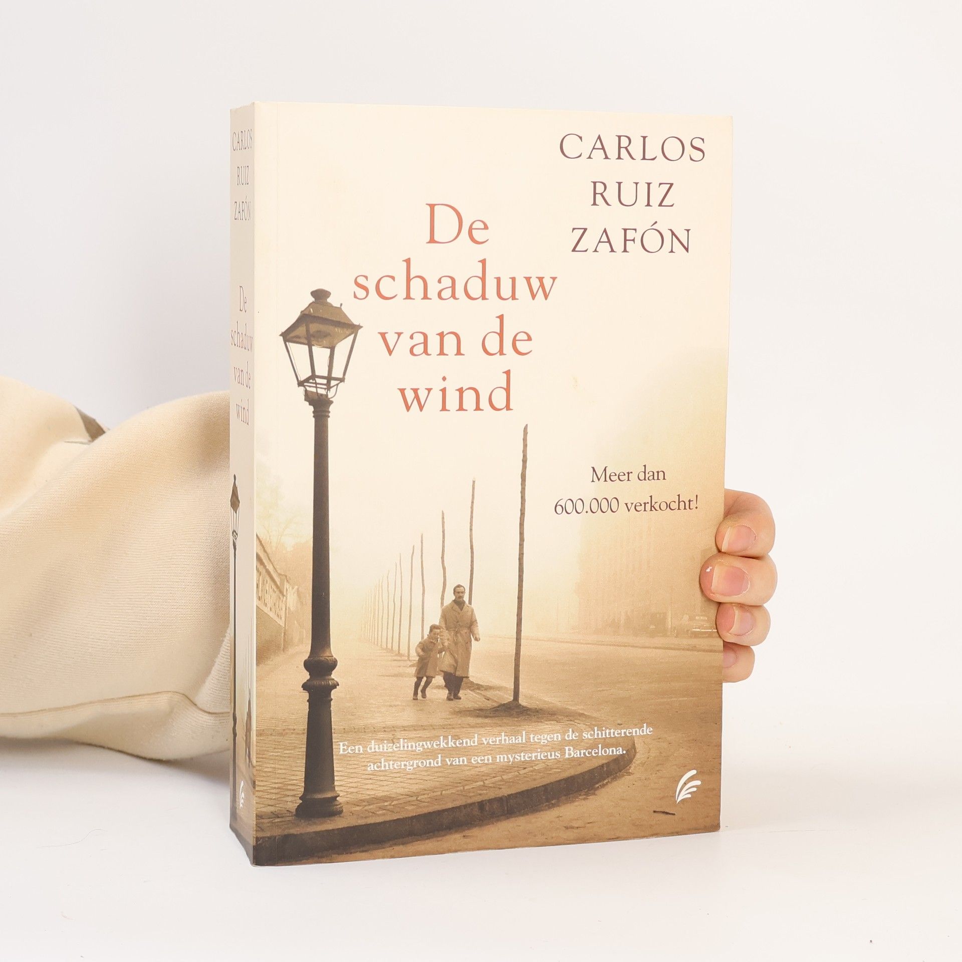 Carlos Ruiz Zafón De Schaduw van de Wind