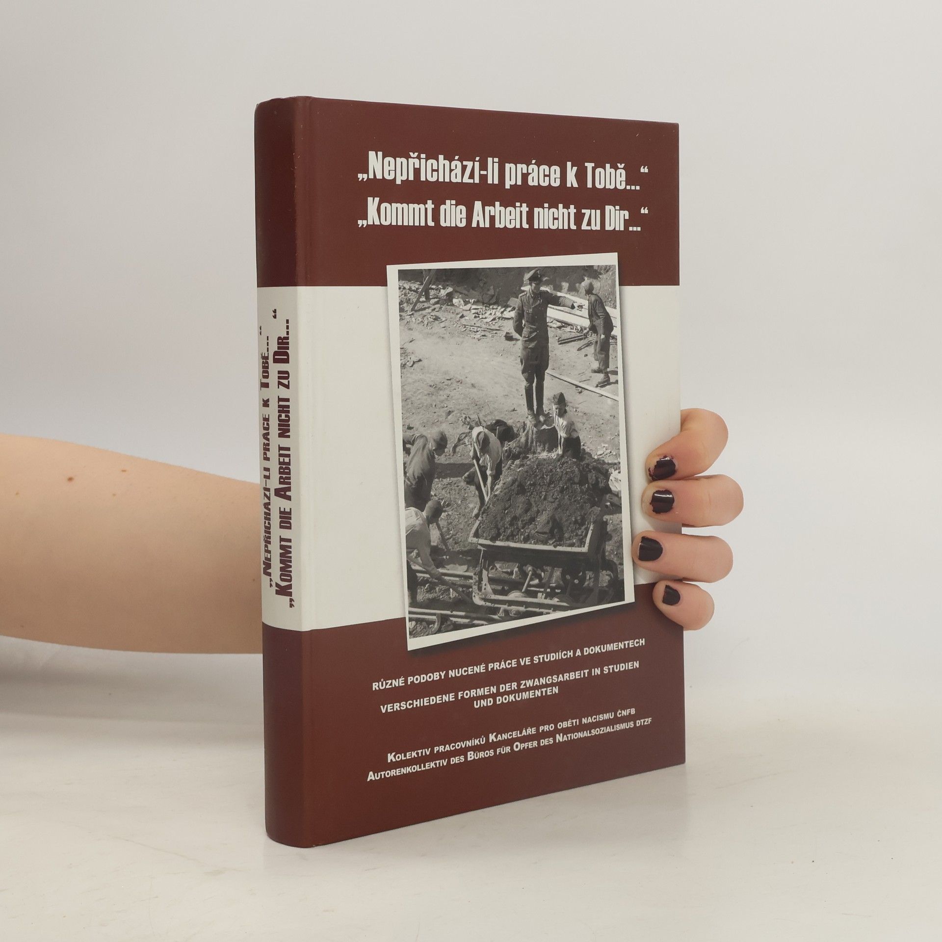 Autorenkollektiv Nepřichází-li práce k Tobě. Kommt die Arbeit nicht zu Dir...