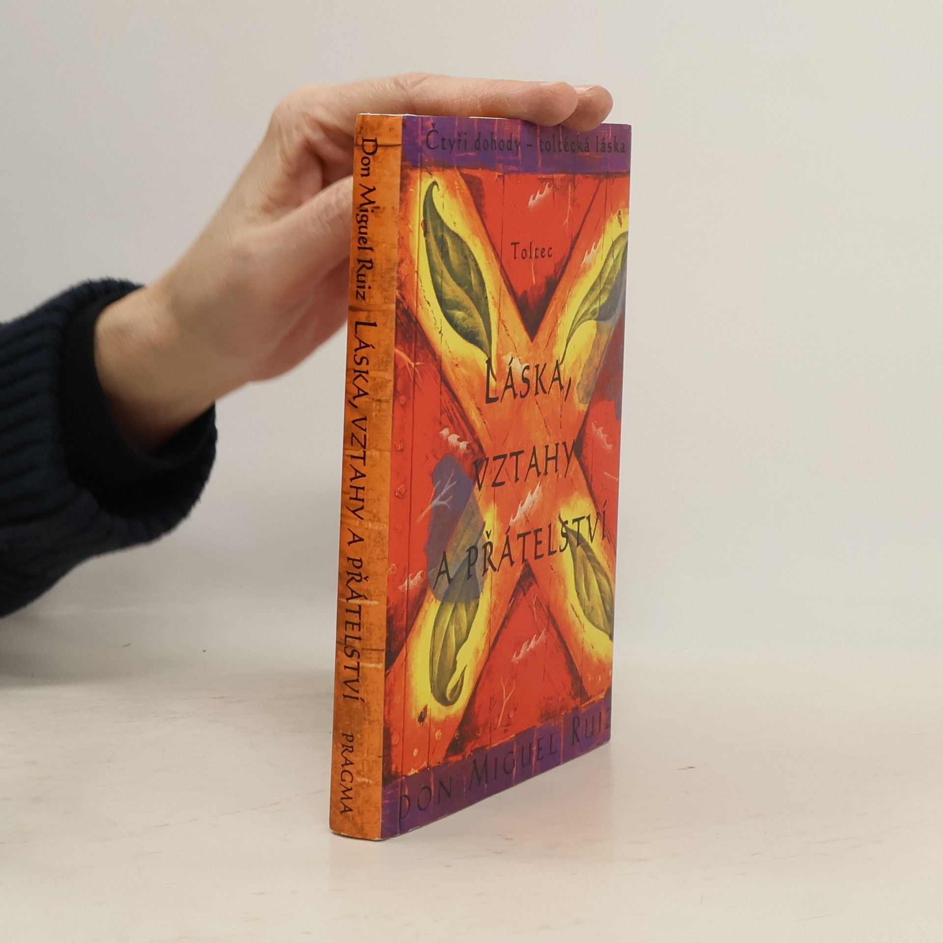 Don Miguel Ruiz Láska, vztahy a přátelství